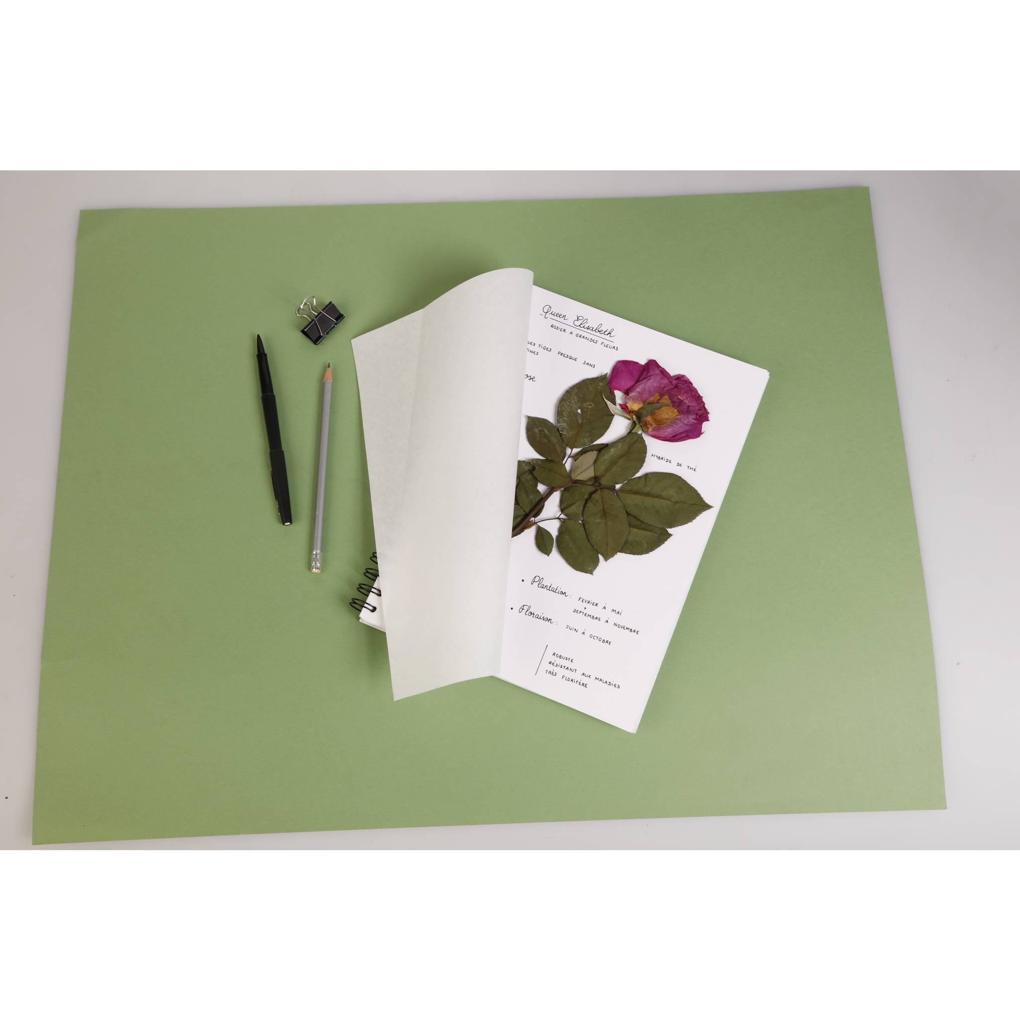 Clairefontaine 5x Herbarium, Heft mit Spiralbindung, A4 32 Blatt 180g 975179C