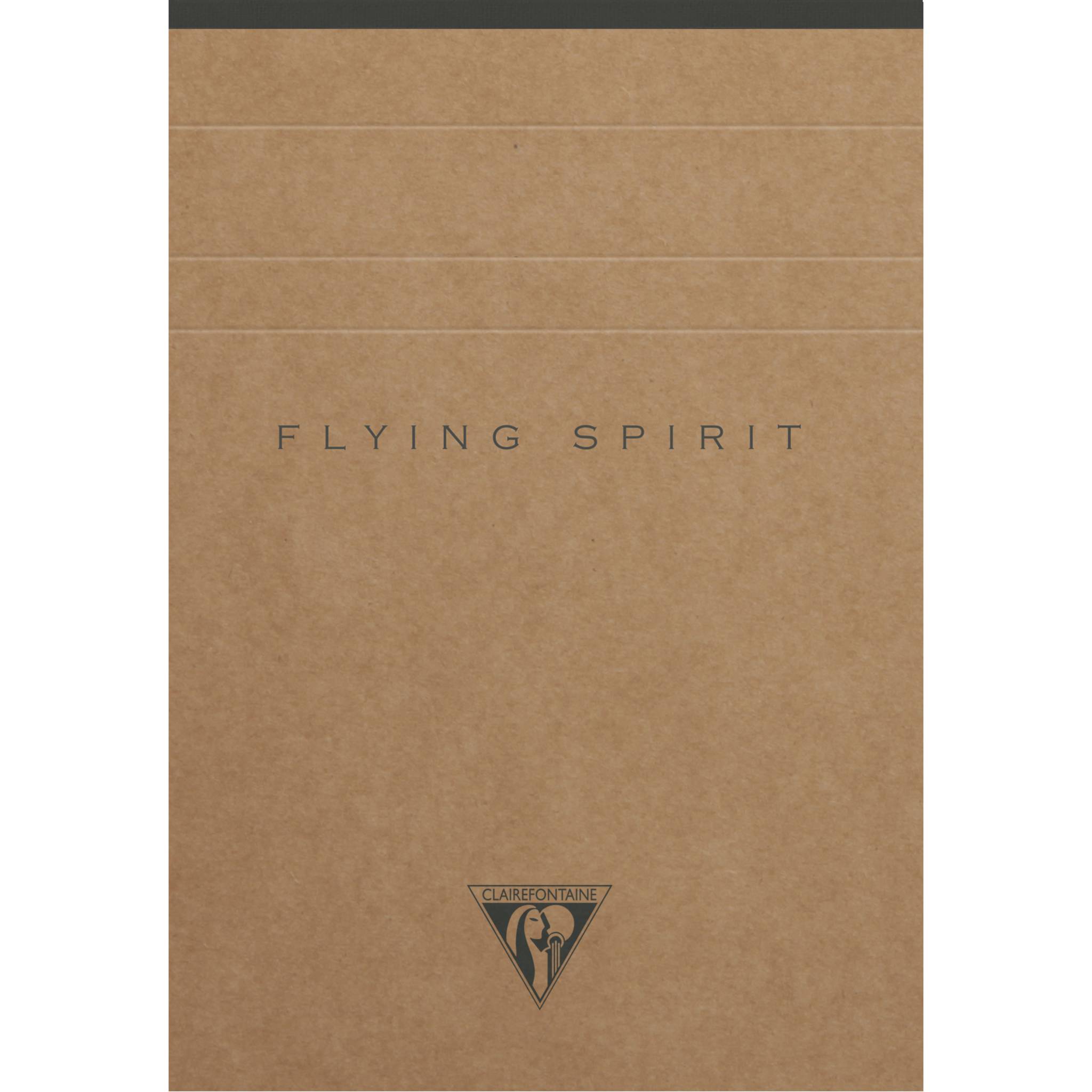 Clairefontaine 5x Block A6 70 Blatt liniert, Motive sortiert - Braun 103646C