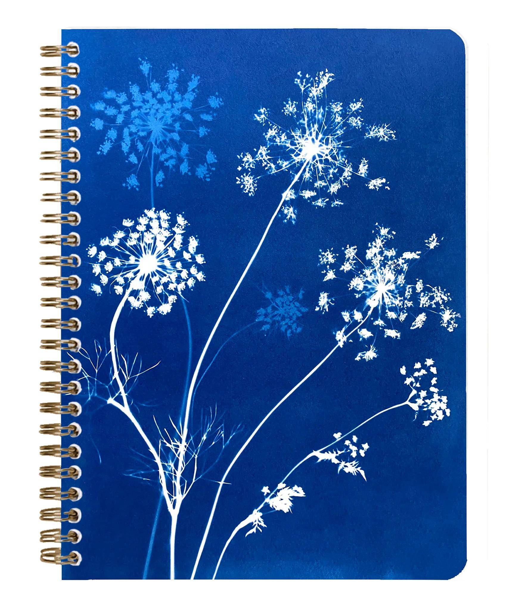 Clairefontaine 4x Notizbuch Spiralbindung A5 74 Blatt liniert sortiert 83504C