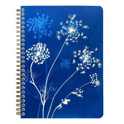 Clairefontaine 4x Notizbuch Spiralbindung A5 74 Blatt liniert sortiert 83504C