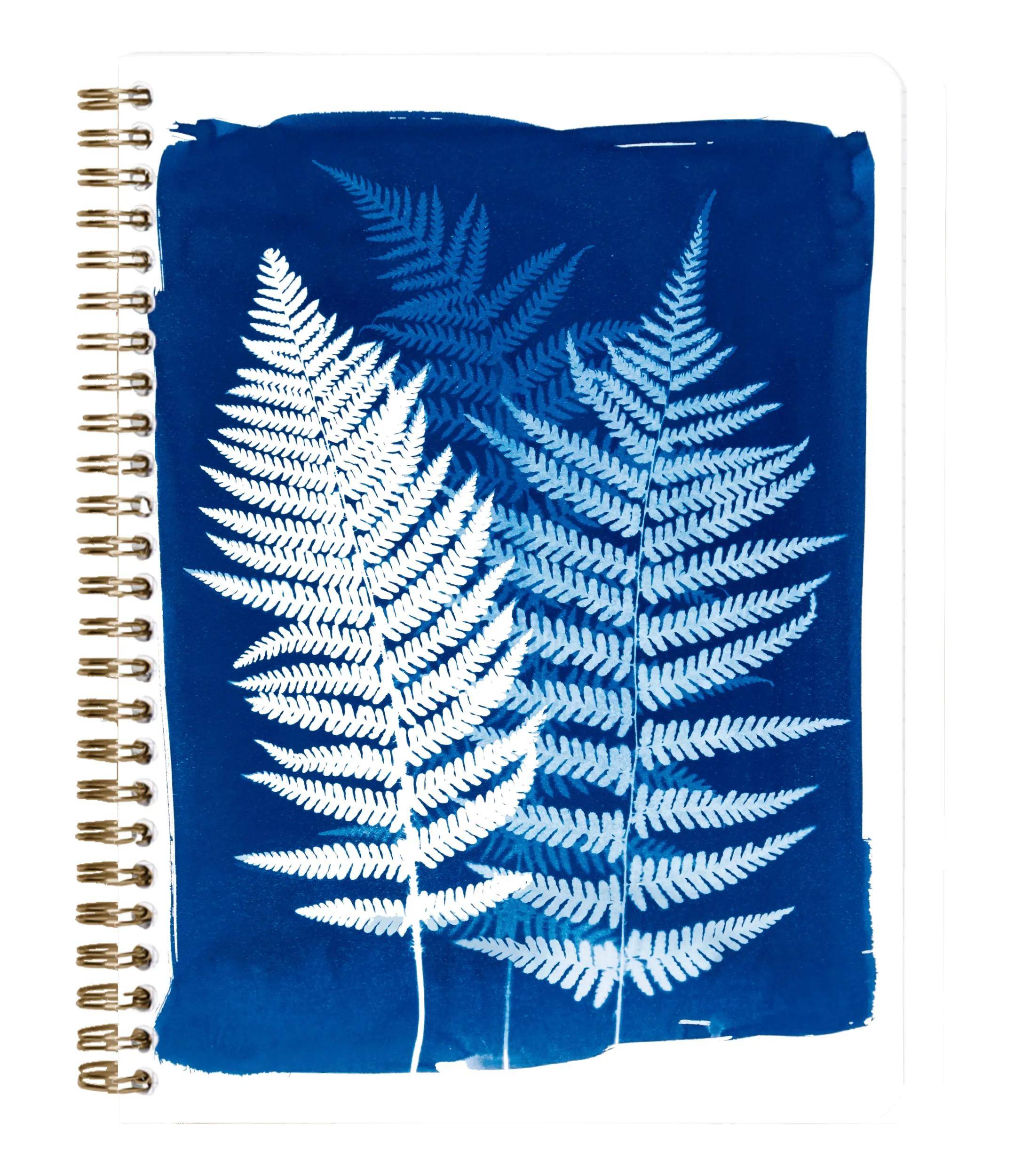 Clairefontaine 4x Notizbuch Spiralbindung A5 74 Blatt liniert sortiert 83504C