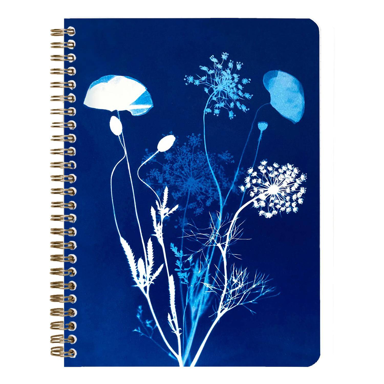 Clairefontaine 4x Notizbuch Spiralbindung A5 74 Blatt liniert sortiert 83504C
