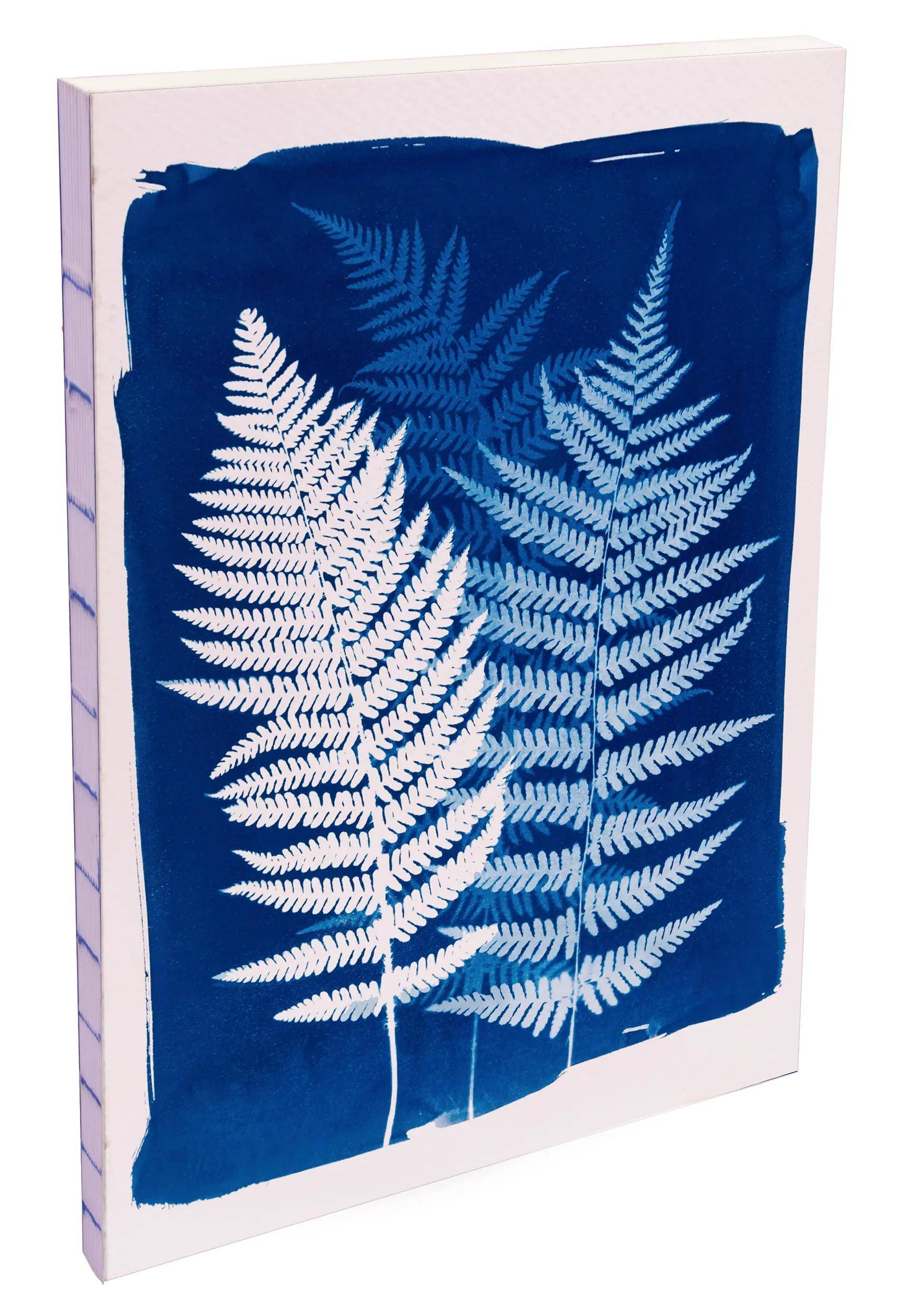 Clairefontaine 4x Soft Broschüre Notizbuch A5 80 Blatt liniert sortiert 83505C