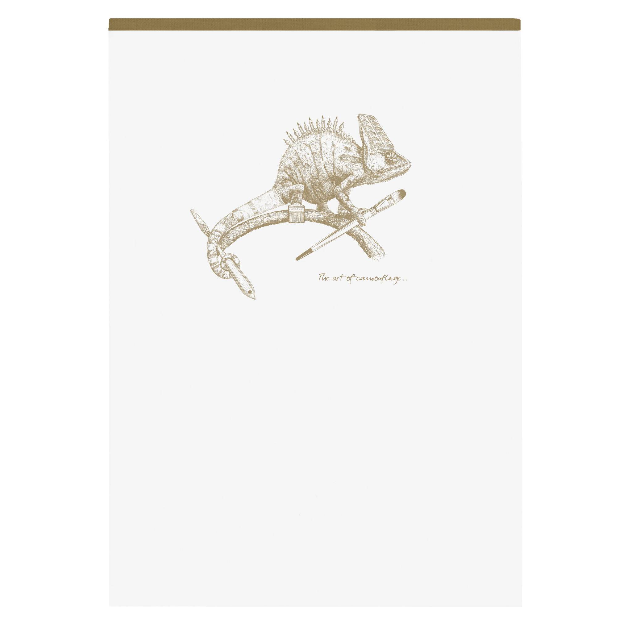 Clairefontaine 5x Block A5 70 Blatt liniert, Motive sortiert Weiß 104636C