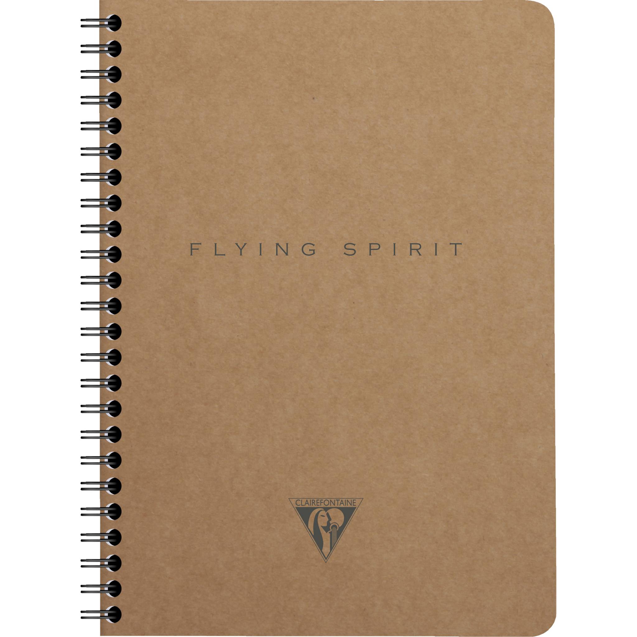 Clairefontaine 5x Notizbuch A5, 60 Blatt liniert, Motive sortiert Braun 103566C