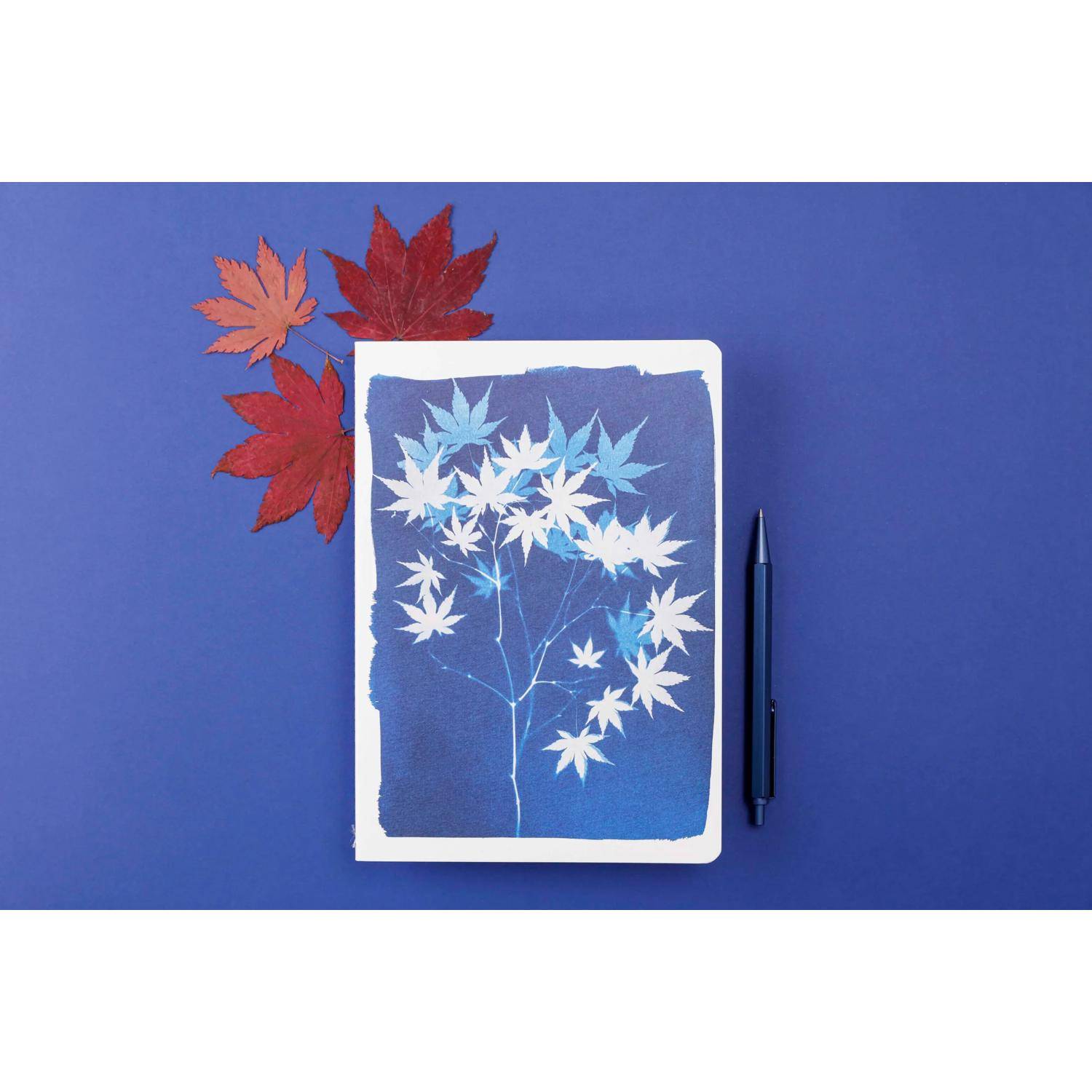 Clairefontaine 9x Notizbuch Fadenbindung A5 32 Blatt sortiert Motive 83502C