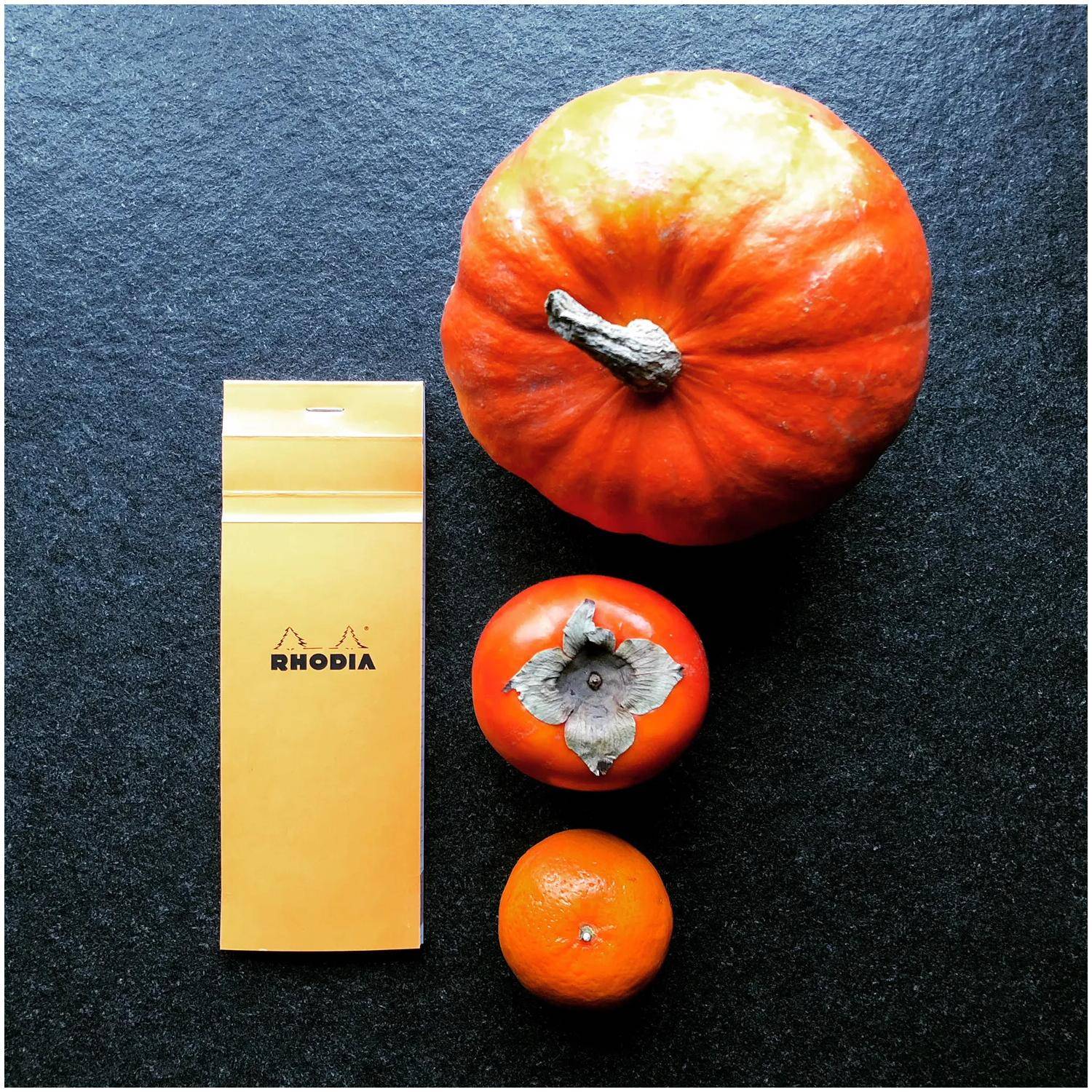 Rhodia 10x Gehefter Notizblock No.8 7,4x21cm 80 Bl kariert 80g Orange 8200C