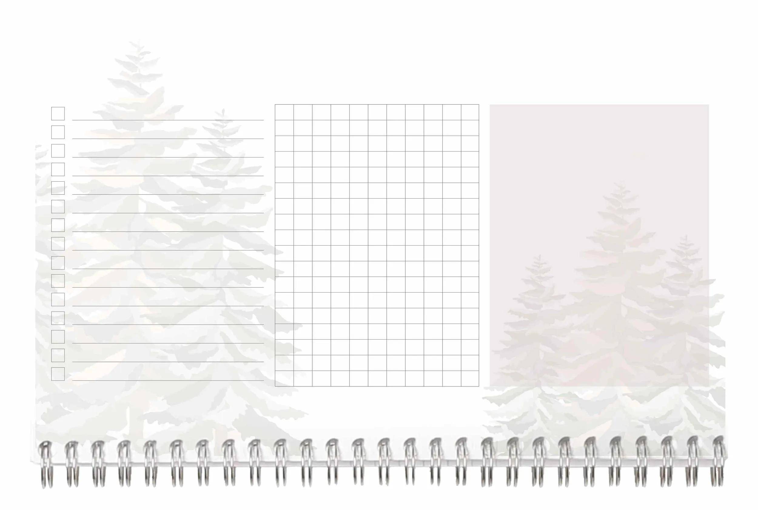 Clairefontaine 5x Block Planer 22x14 cm 53 bedruckte Blätter 83496C
