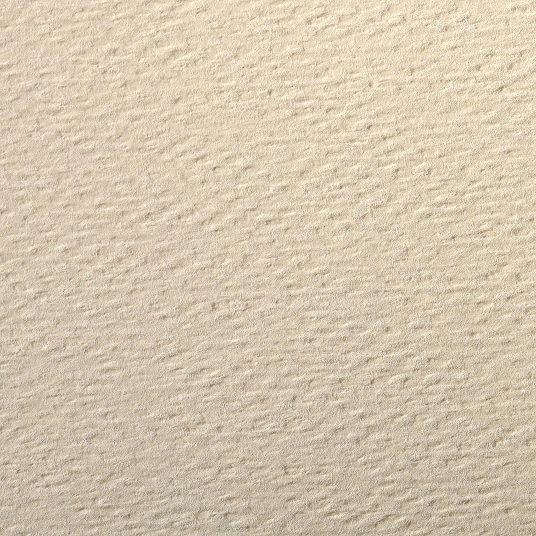 Clairefontaine Zeichenpapier 50x65cm 160g, Pack. 24 Bogen Zitronenmelisse 93791C