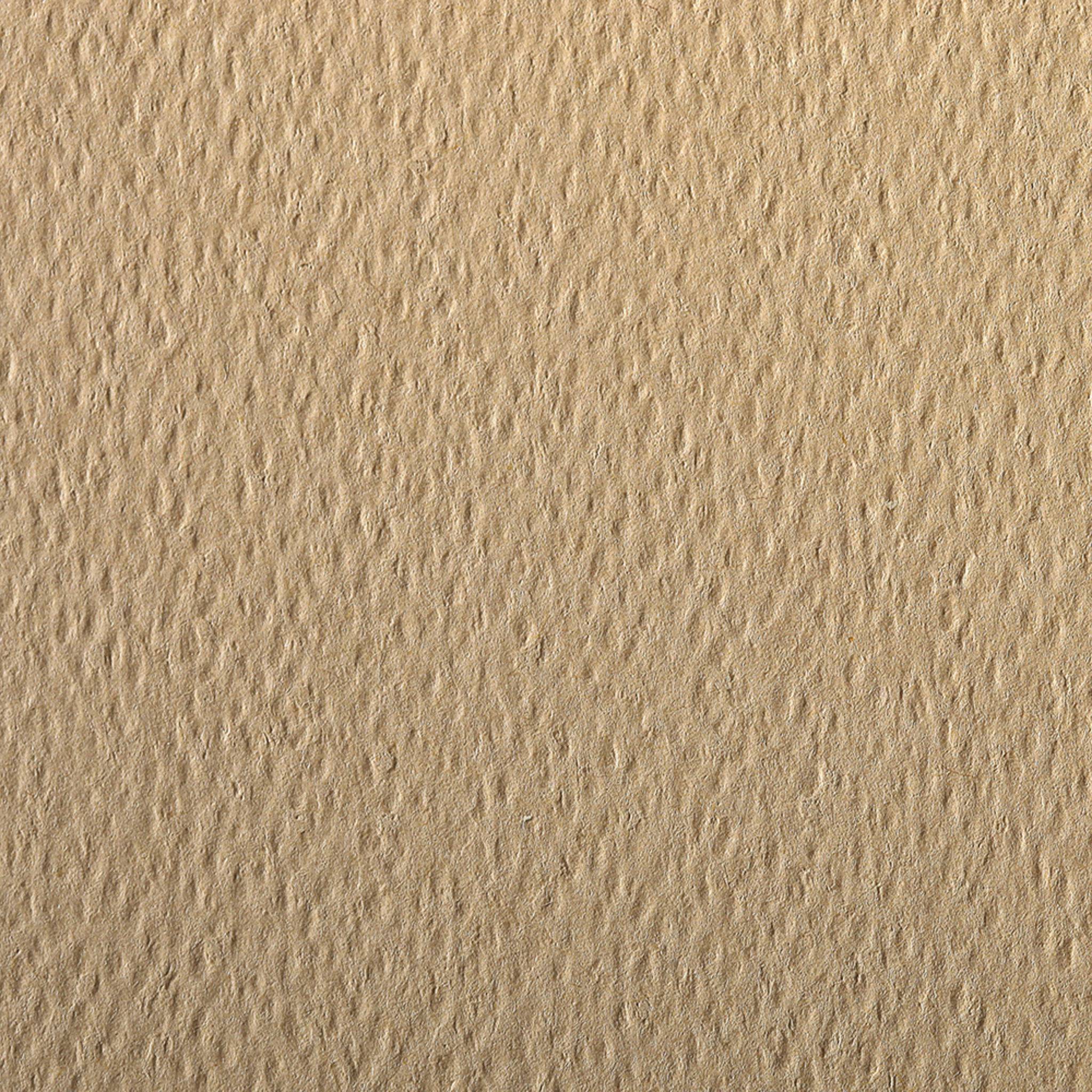 Clairefontaine Zeichenpapier 50x65 cm 160g, Pack. 24 Bogen - Saharabraun 93766C