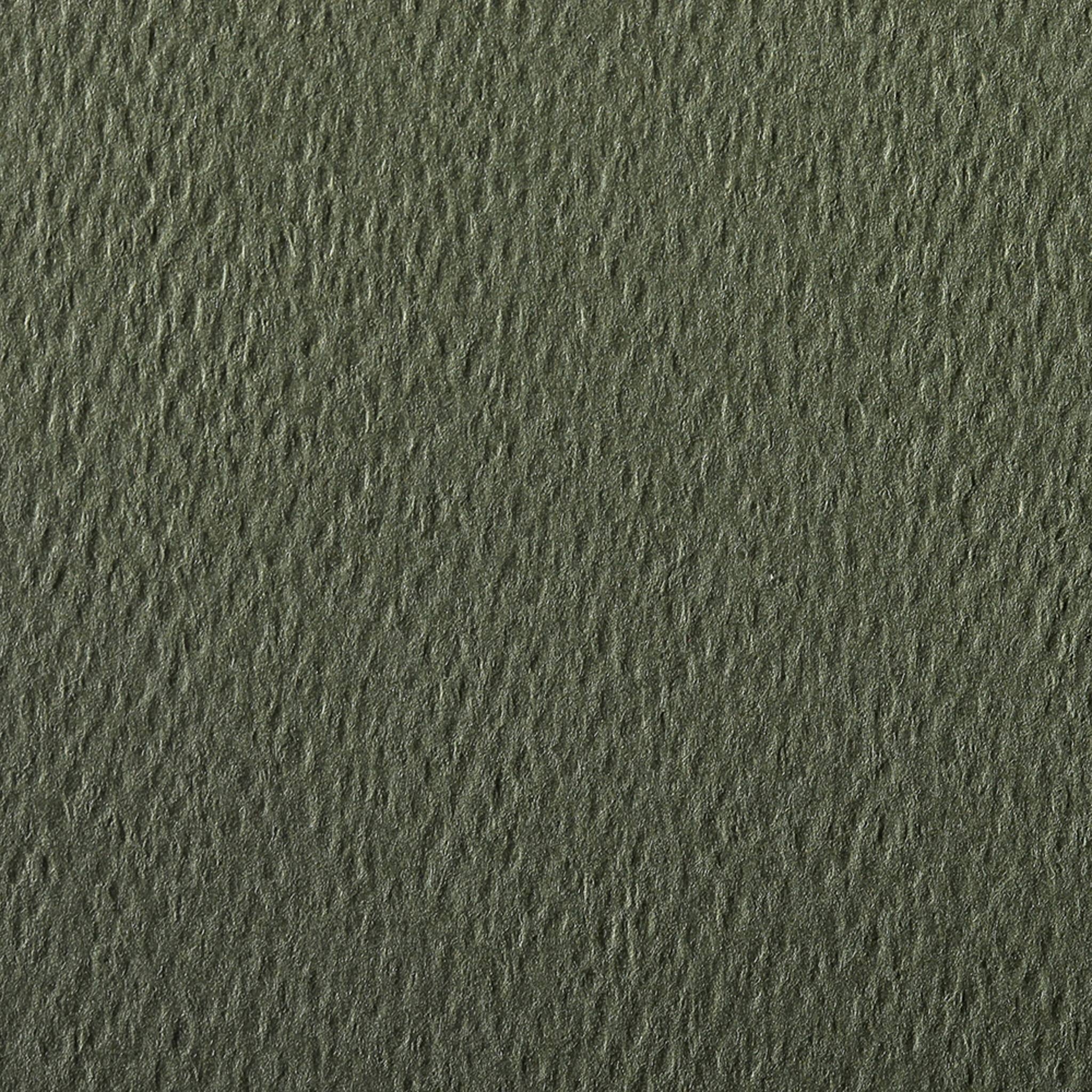 Clairefontaine Zeichenpapier 50x65 cm 160g, Pack. 24 Bogen - Ozeangrün 93786C