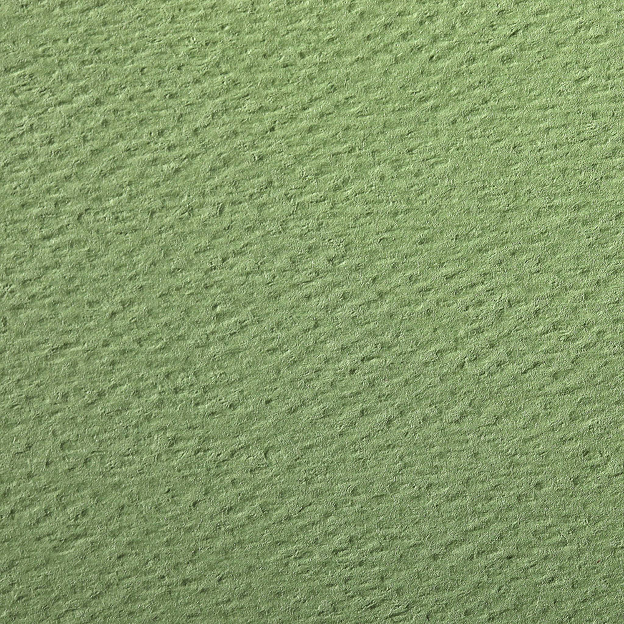 Clairefontaine Zeichenpapier 50x65 cm 160g, Pack. 24 Bogen - Apfelgrün 93796C