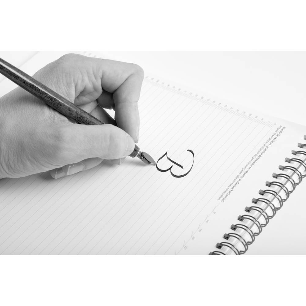 Brause Schachtel mit 50 Bandzugfedern 18020B