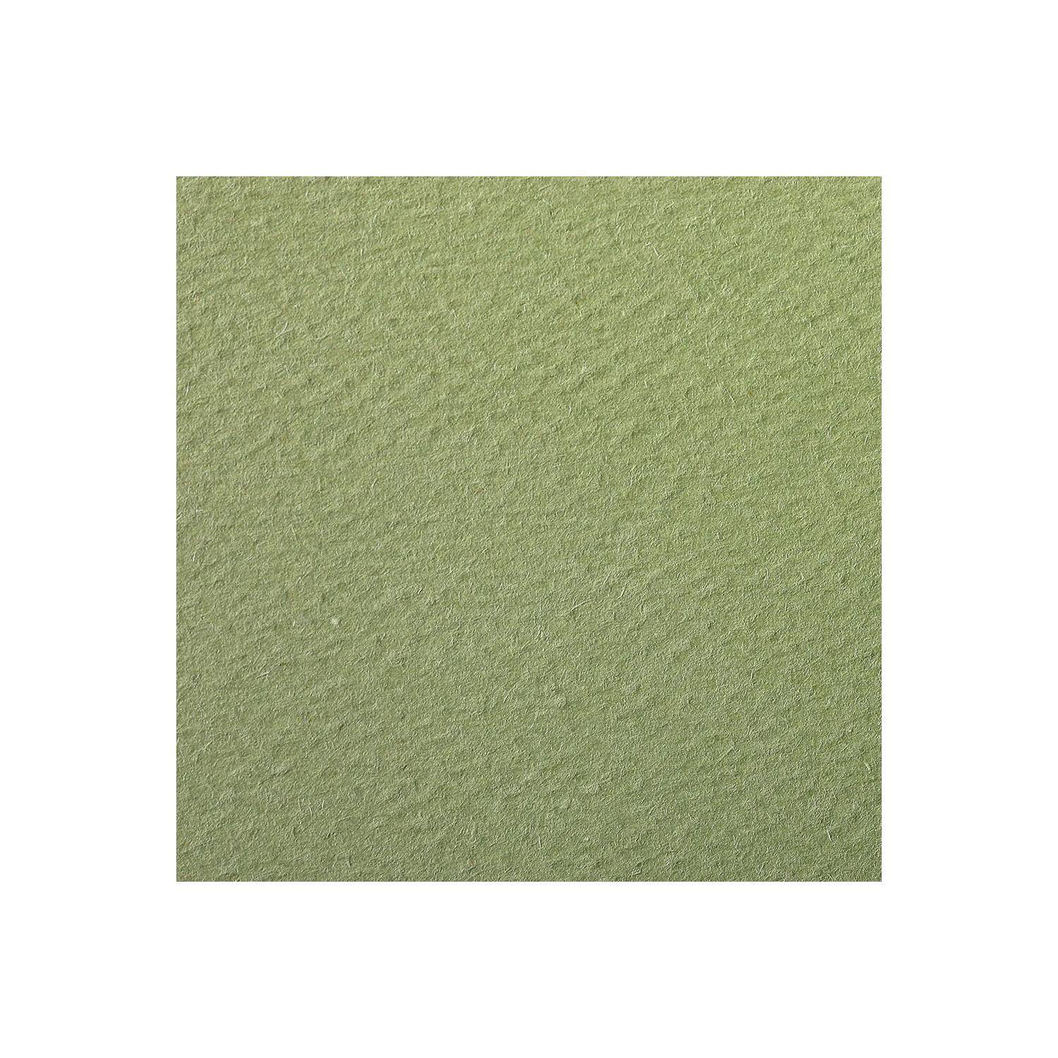 Clairefontaine Zeichenpapier 50x65 cm 160g, Pack. 24 Bogen - Mandelgrün 93784C