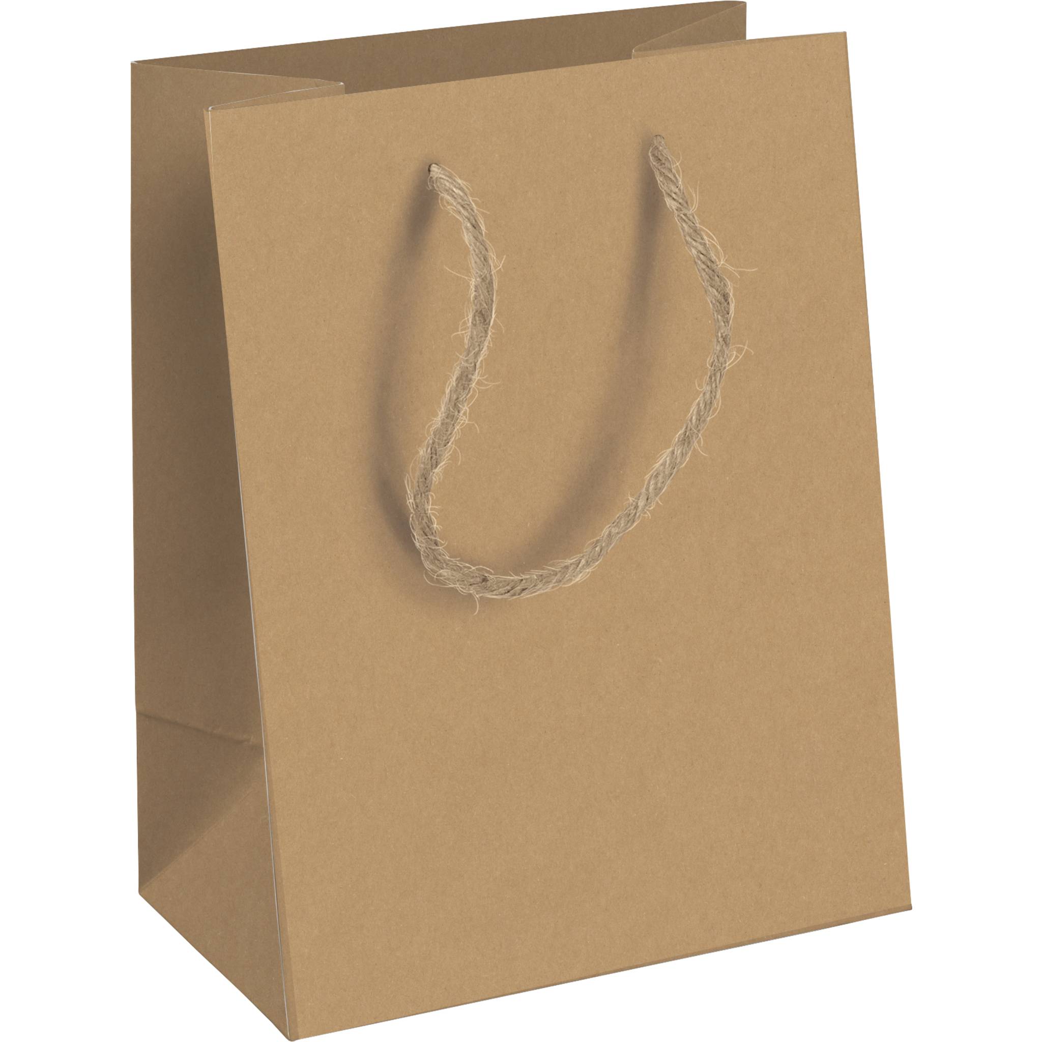 Clairefontaine 6x Tasche aus Kraftpapier, 21,5x10,2x25,3 cm Kartonbraun 28800-3C
