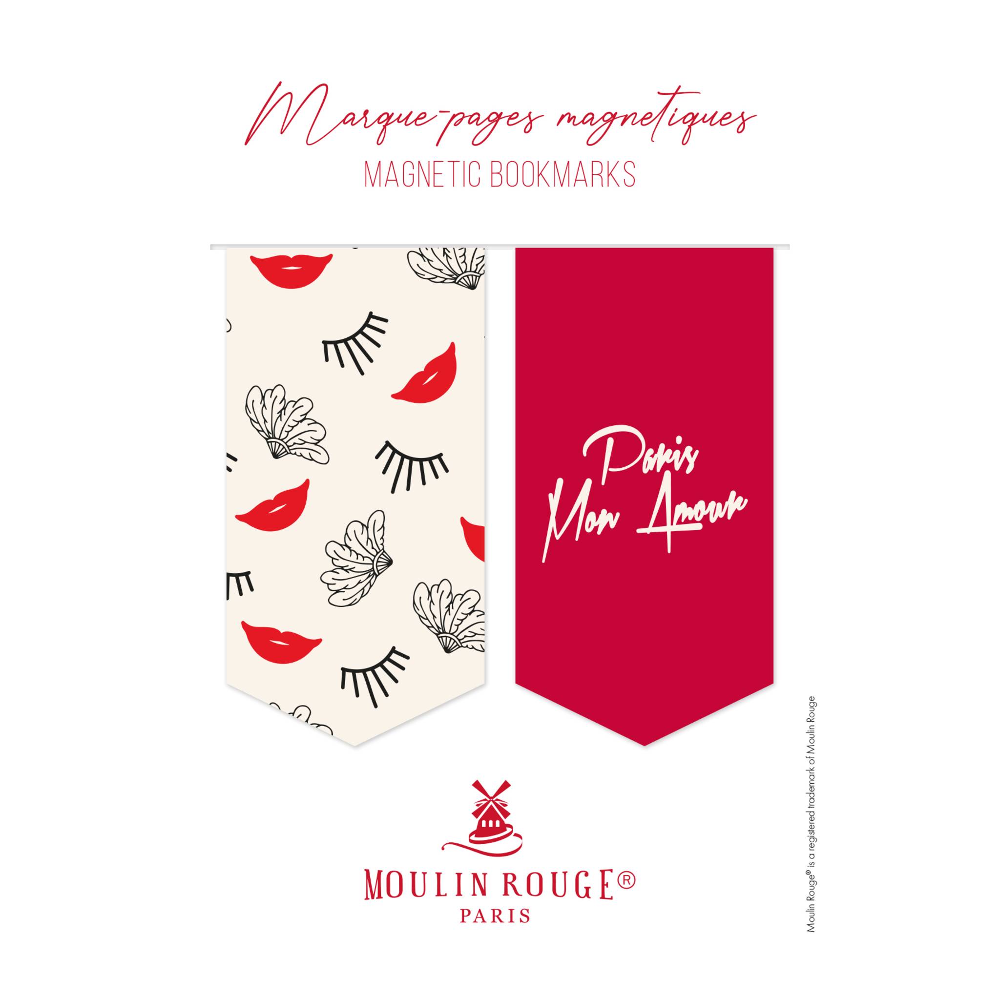 Clairefontaine 10x Magnetische Lesezeichen 10,5x15,5 cm 1x 7,5x4 cm 812446C