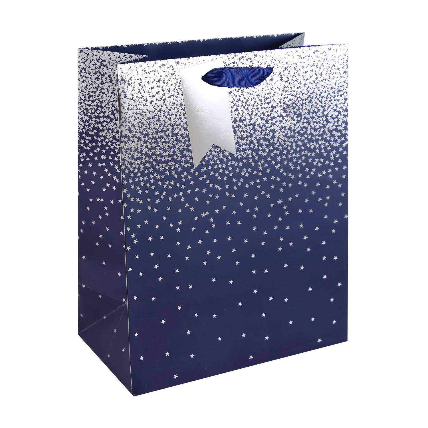 Clairefontaine 6x Geschenktasche L, 26,5x14x33 cm - Blau 30861-2C