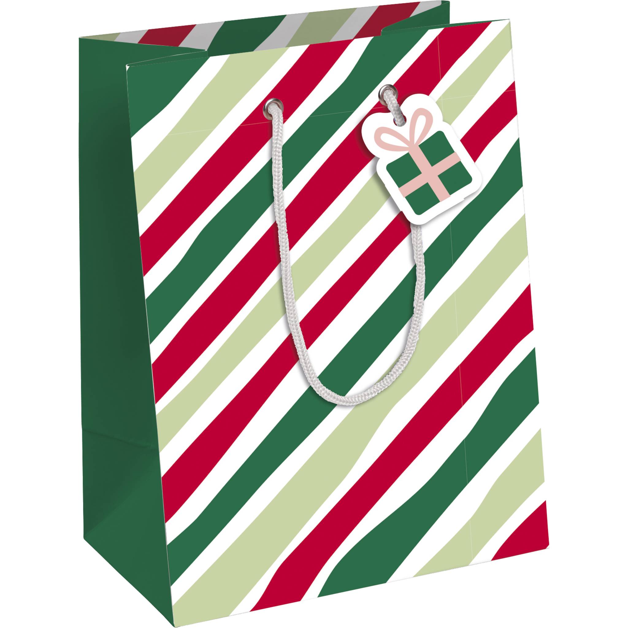 Clairefontaine 6x Geschenktasche, 21,5x10,2x25,3cm - Mehrfarbig X-30882-3C