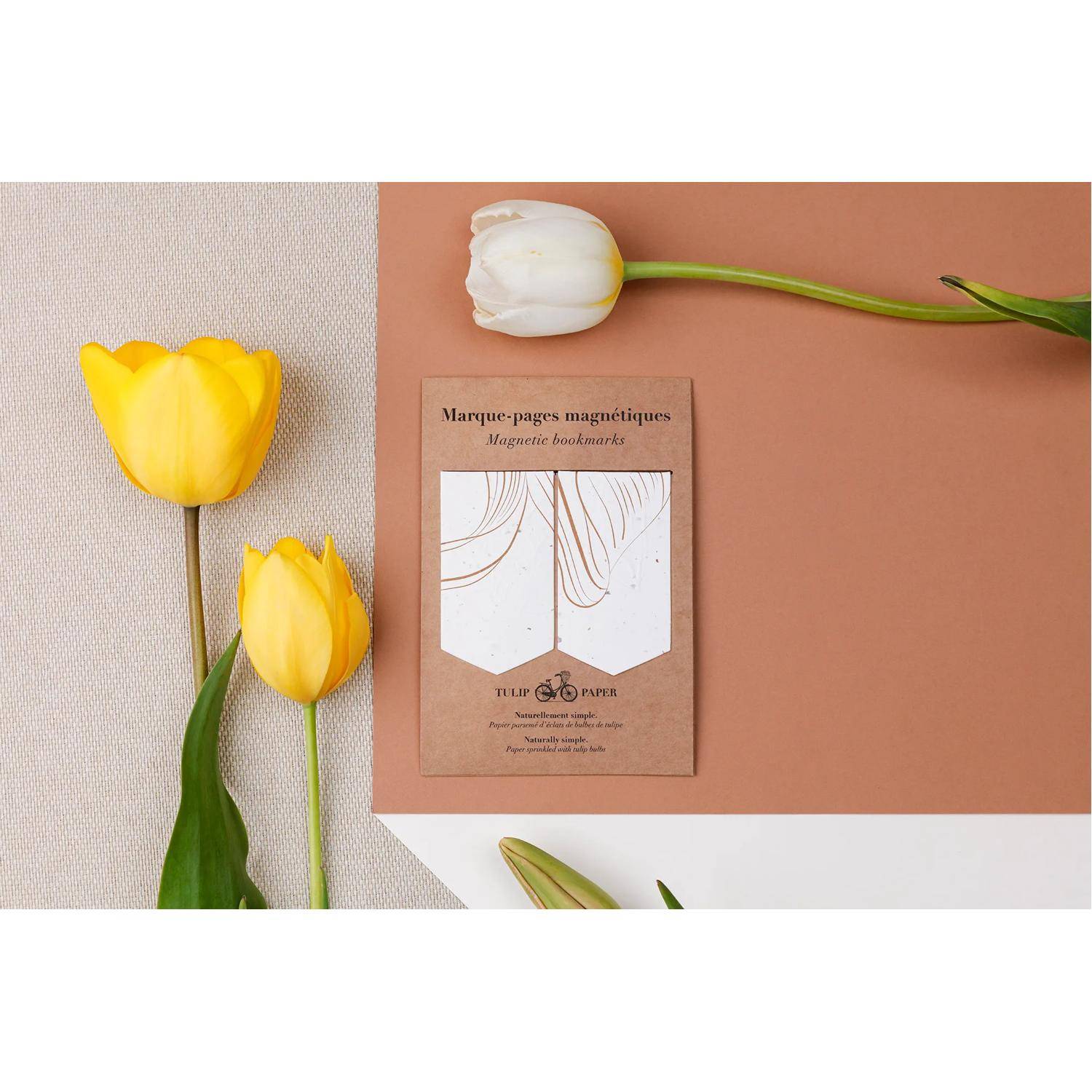 Clairefontaine 10x Magnetisches Lesezeichen Set 10,5x15,5cm 1x 7,5x4 cm 813072C