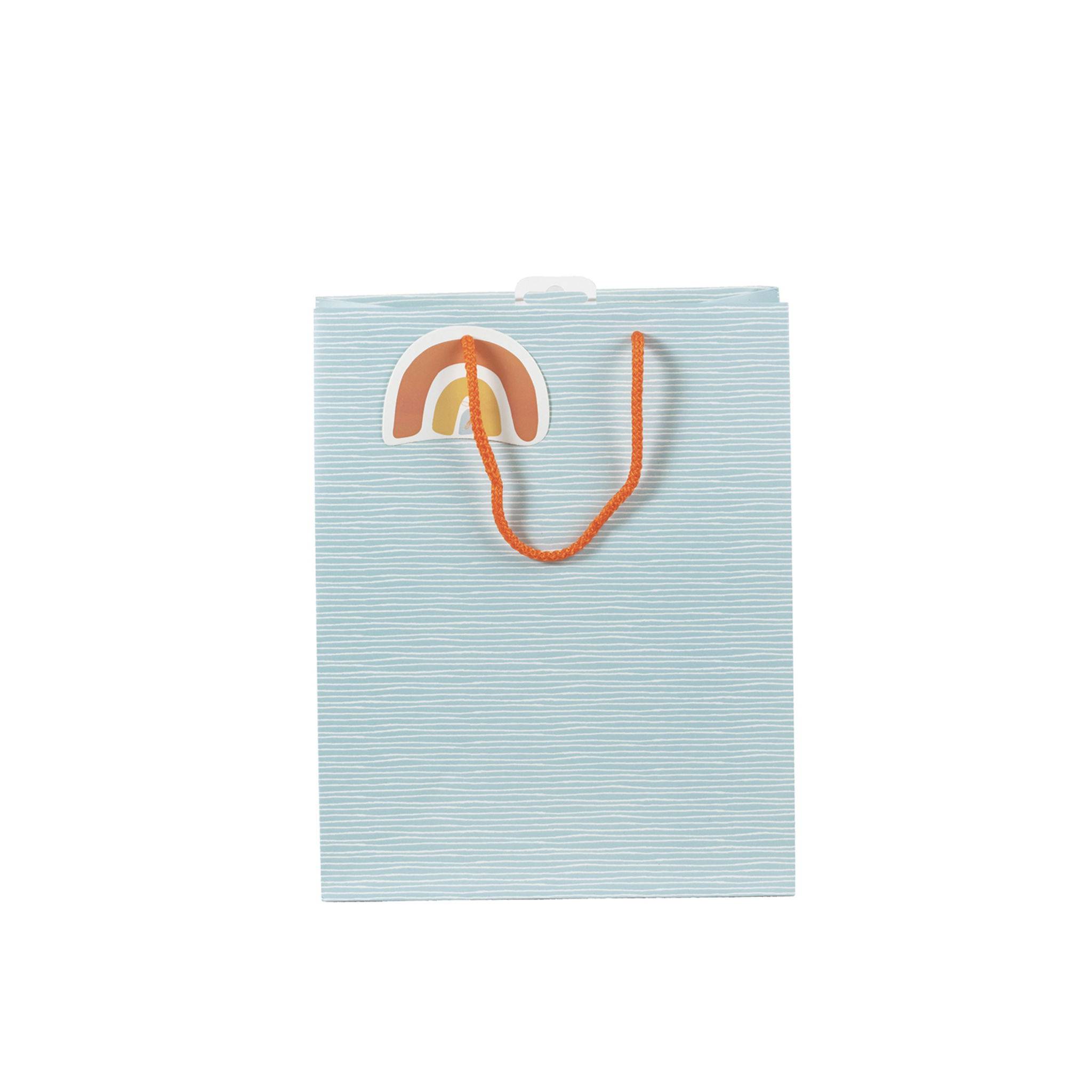 Clairefontaine 6x Geschenktasche L, Welcome, 26,5x14x33 cm - Hellblau 30663-2C