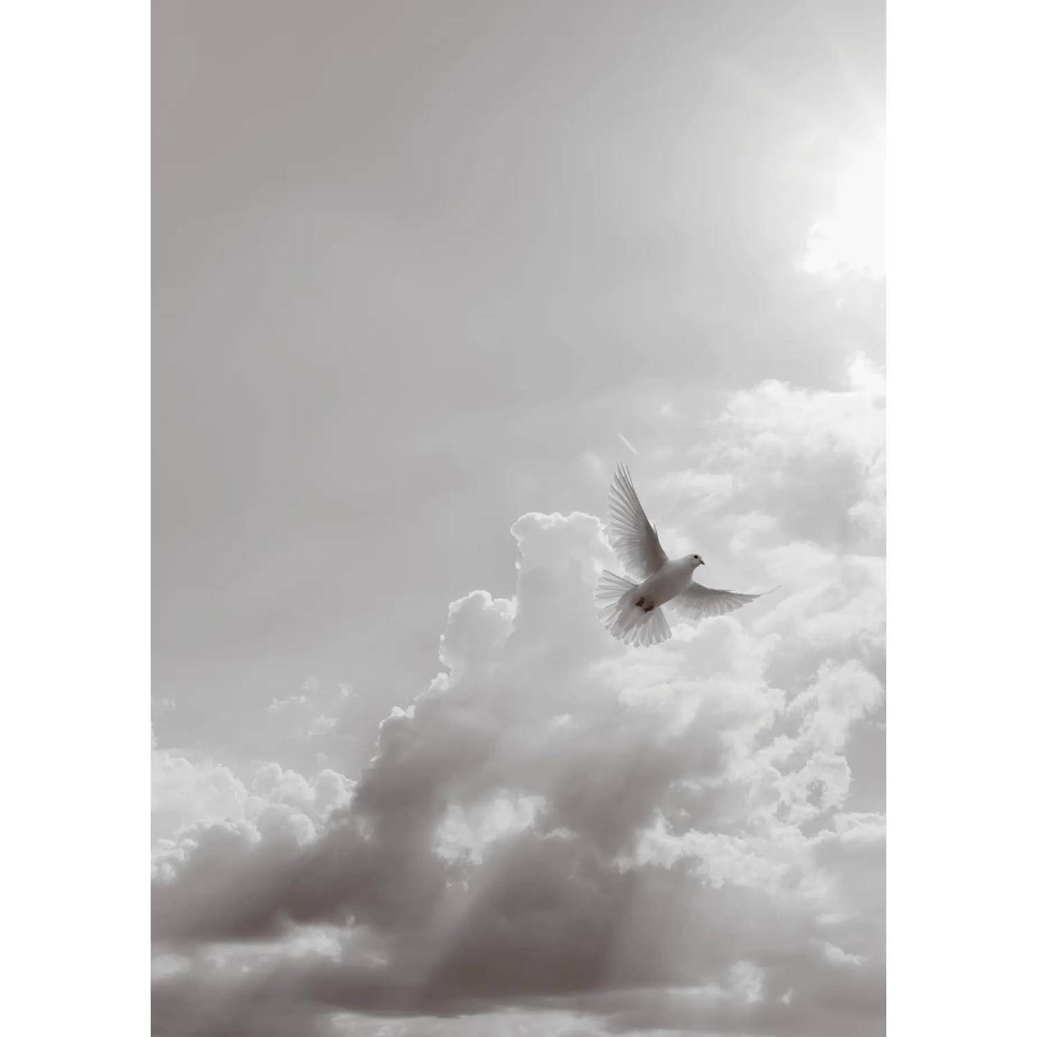 Clairefontaine 5x Korrespondenzset Trauer - 81003C