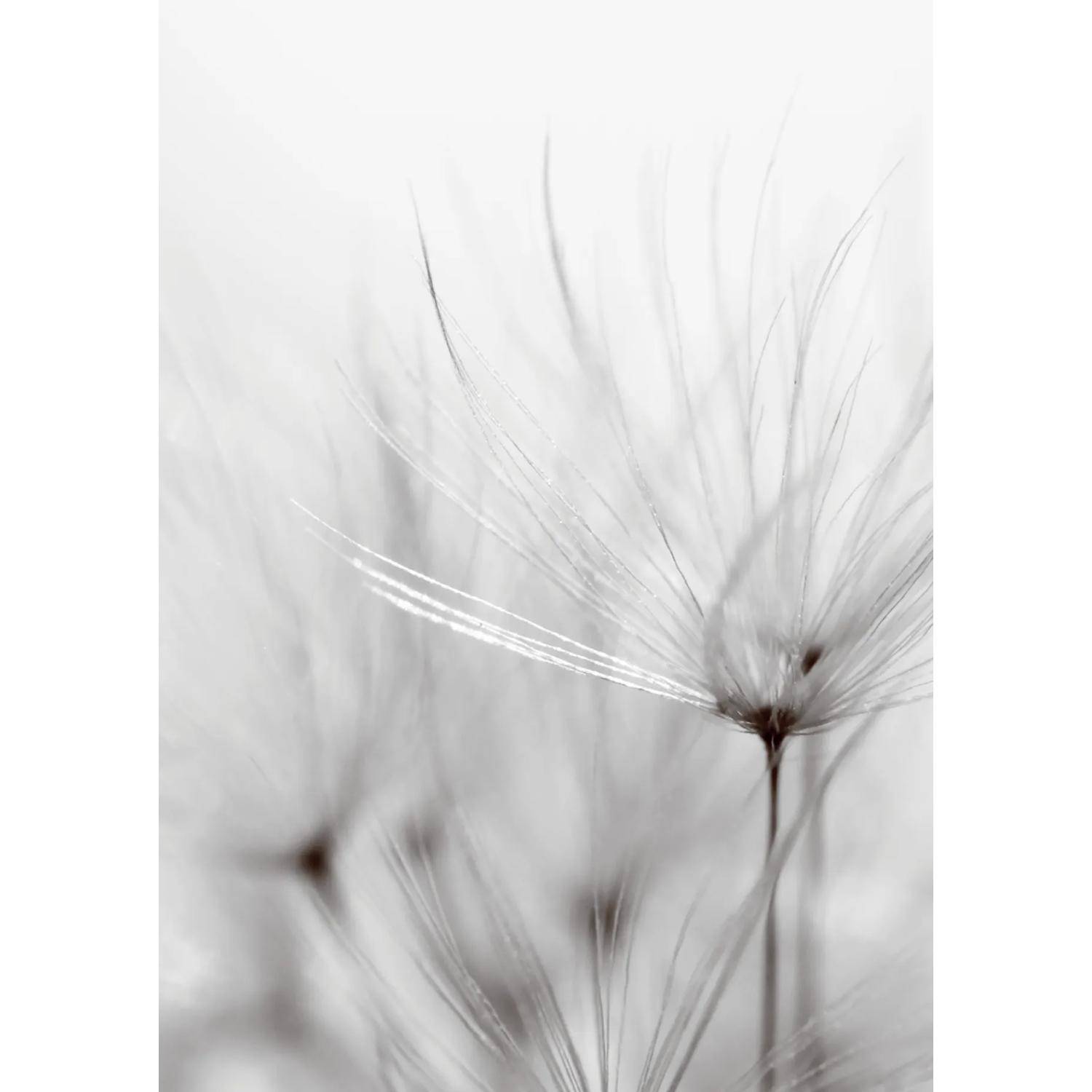 Clairefontaine 5x Korrespondenzset Trauer - 81003C