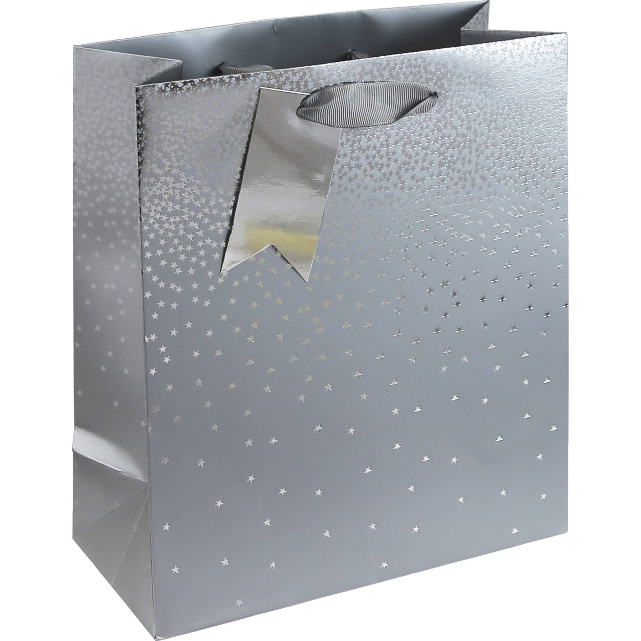 Clairefontaine 6x Geschenktasche M, 21,5x10,2x25,3 cm - Silber 30864-3C