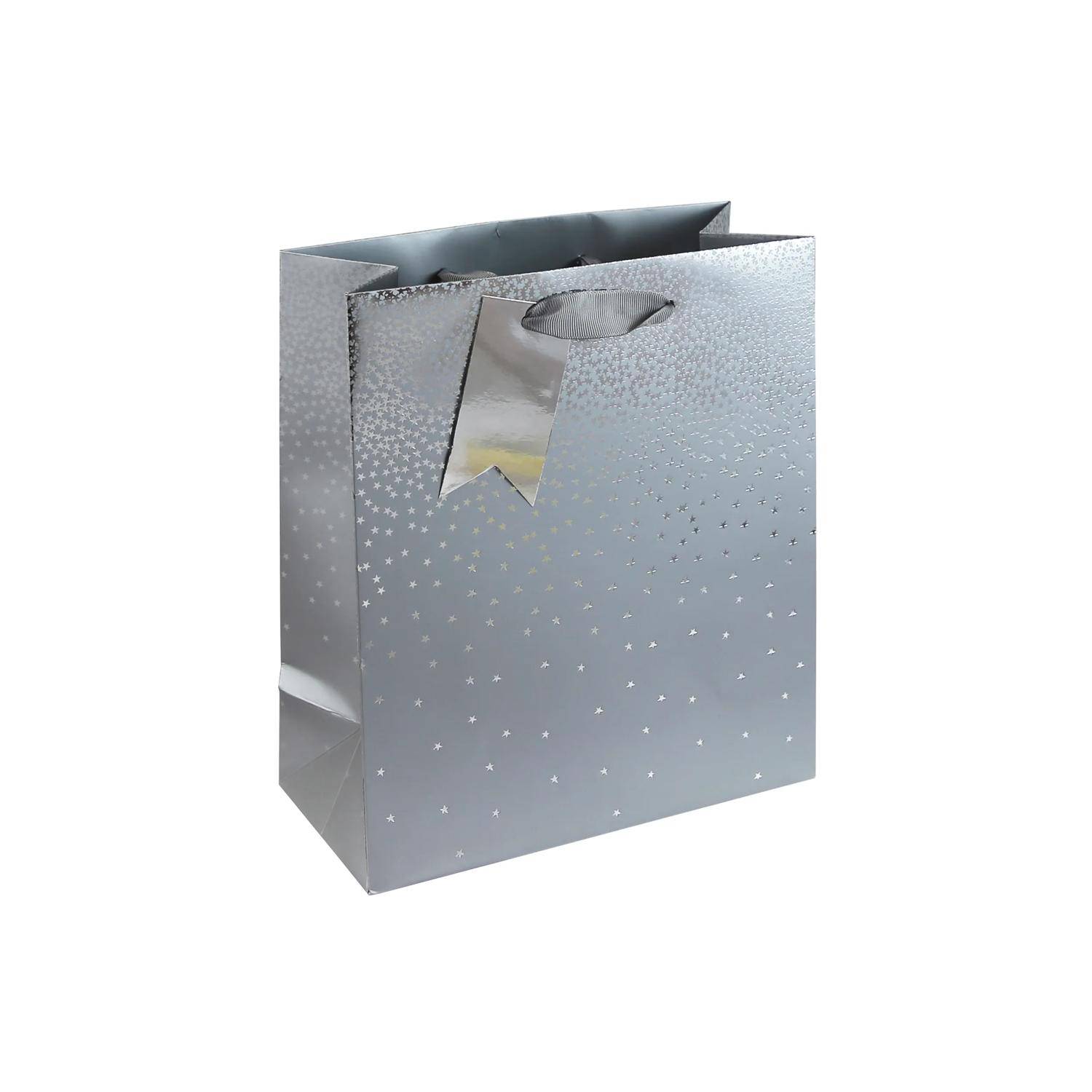 Clairefontaine 6x Geschenktasche M, 21,5x10,2x25,3 cm - Silber 30864-3C