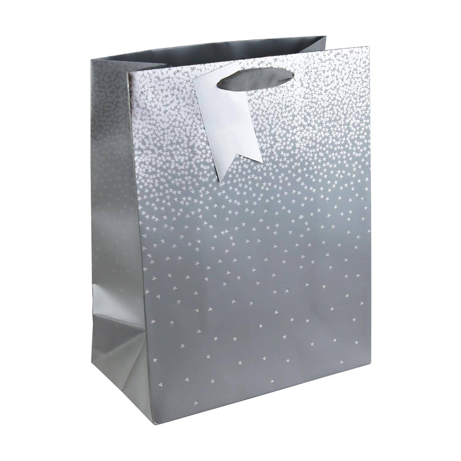 Clairefontaine 6x Geschenktasche L, 26,5x14x33 cm - Silber 30864-2C