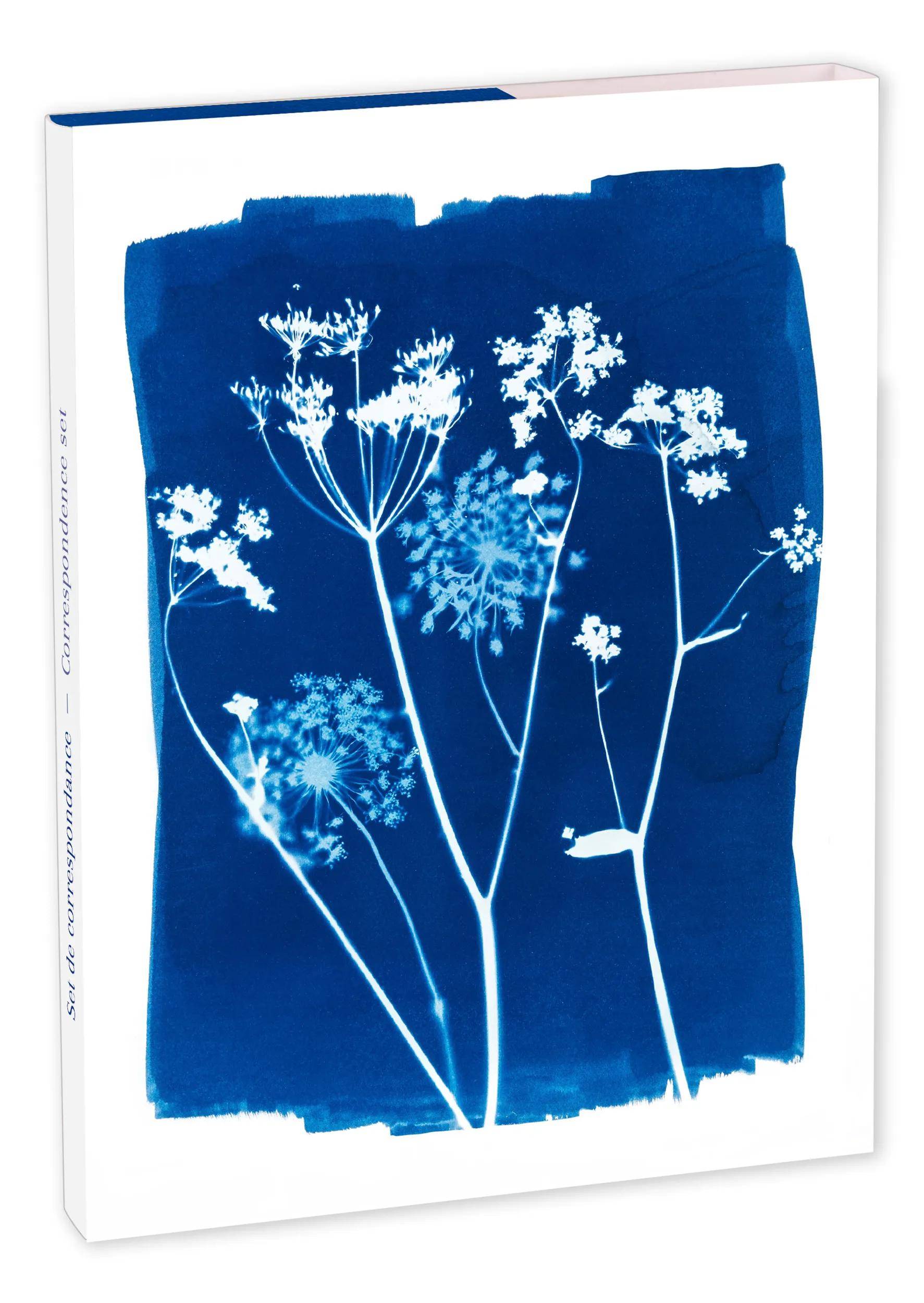 Clairefontaine 5x Korrespondenzset 12x16,5 cm mit Motiven 83507C