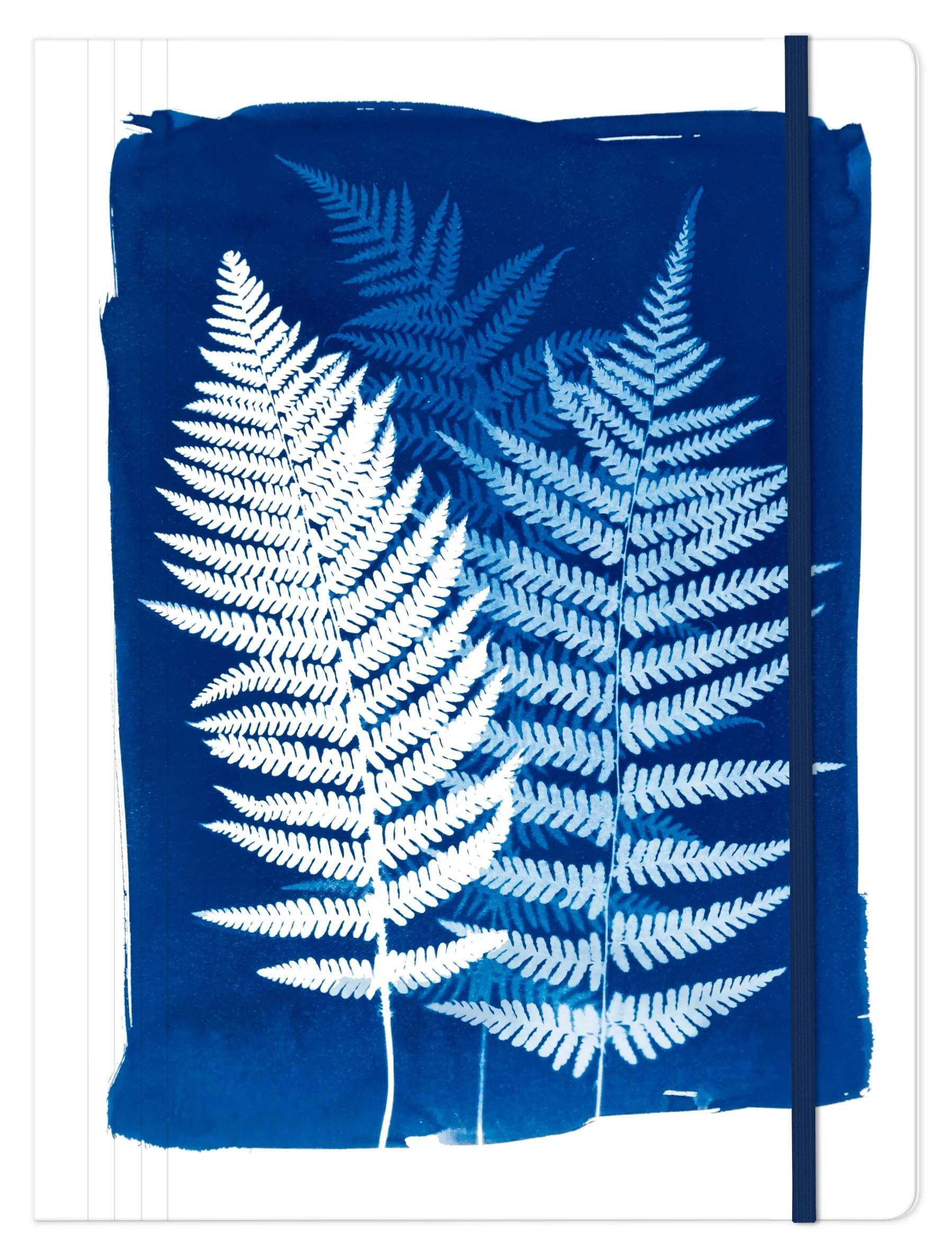 Clairefontaine 4x Cyanotypie, Sammelmappe mit Gummizugverschluss 24x32cm 83512C