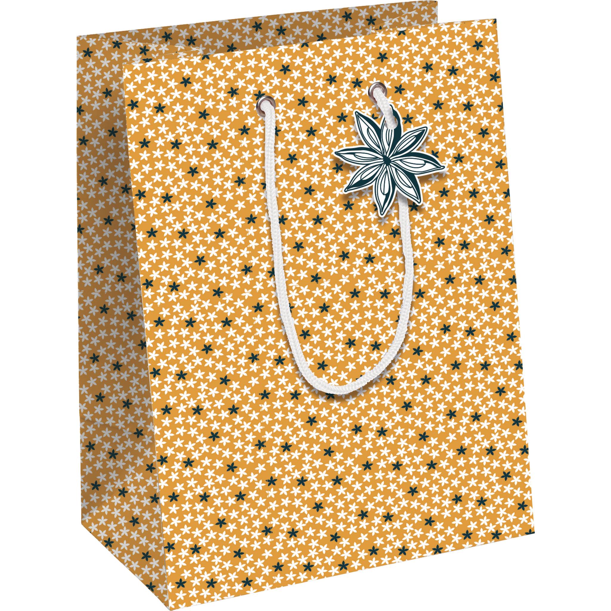 Clairefontaine 6x Zitrus Geschenktasche 21,5x10,2x25,3cm Orange X-32784-3C