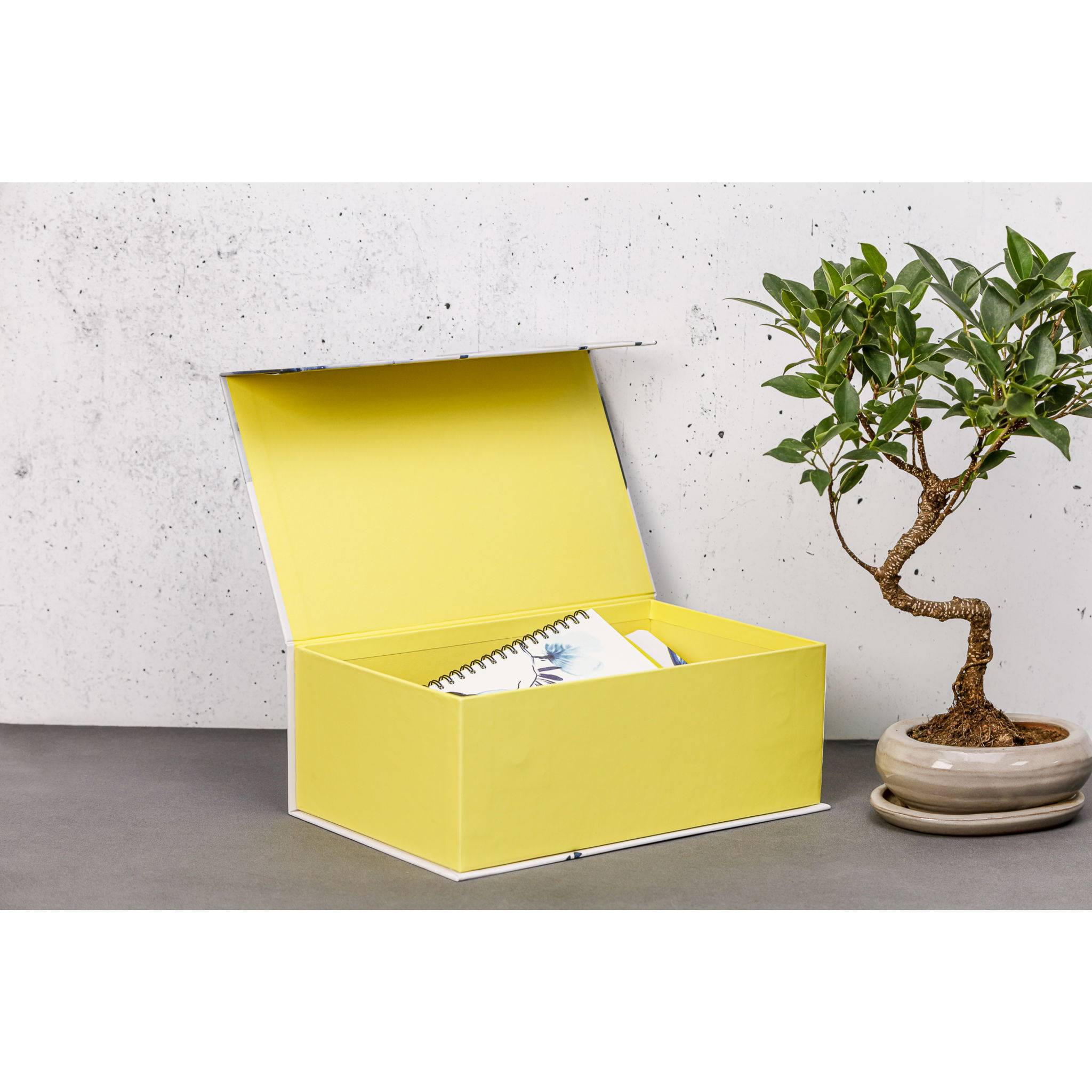 Clairefontaine 2x Inkebana, rechteckige Box 29,8x17,8x10,8 cm Mehrfarbig 115940C