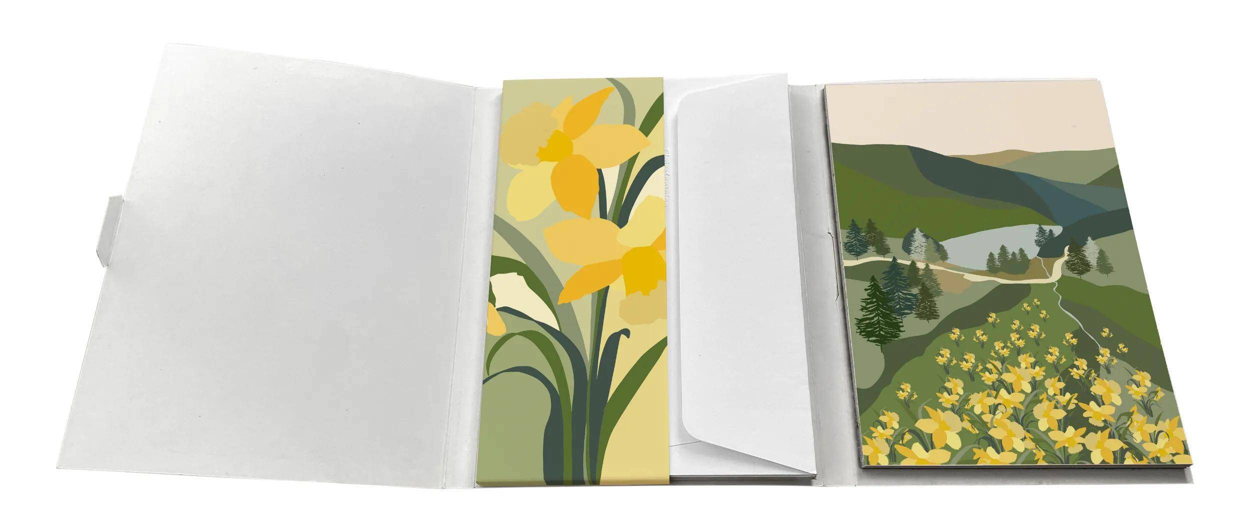Clairefontaine 5x Korrespondenzset 2x16,5 cm Umschläge Pollen mehrfarbig 83495C