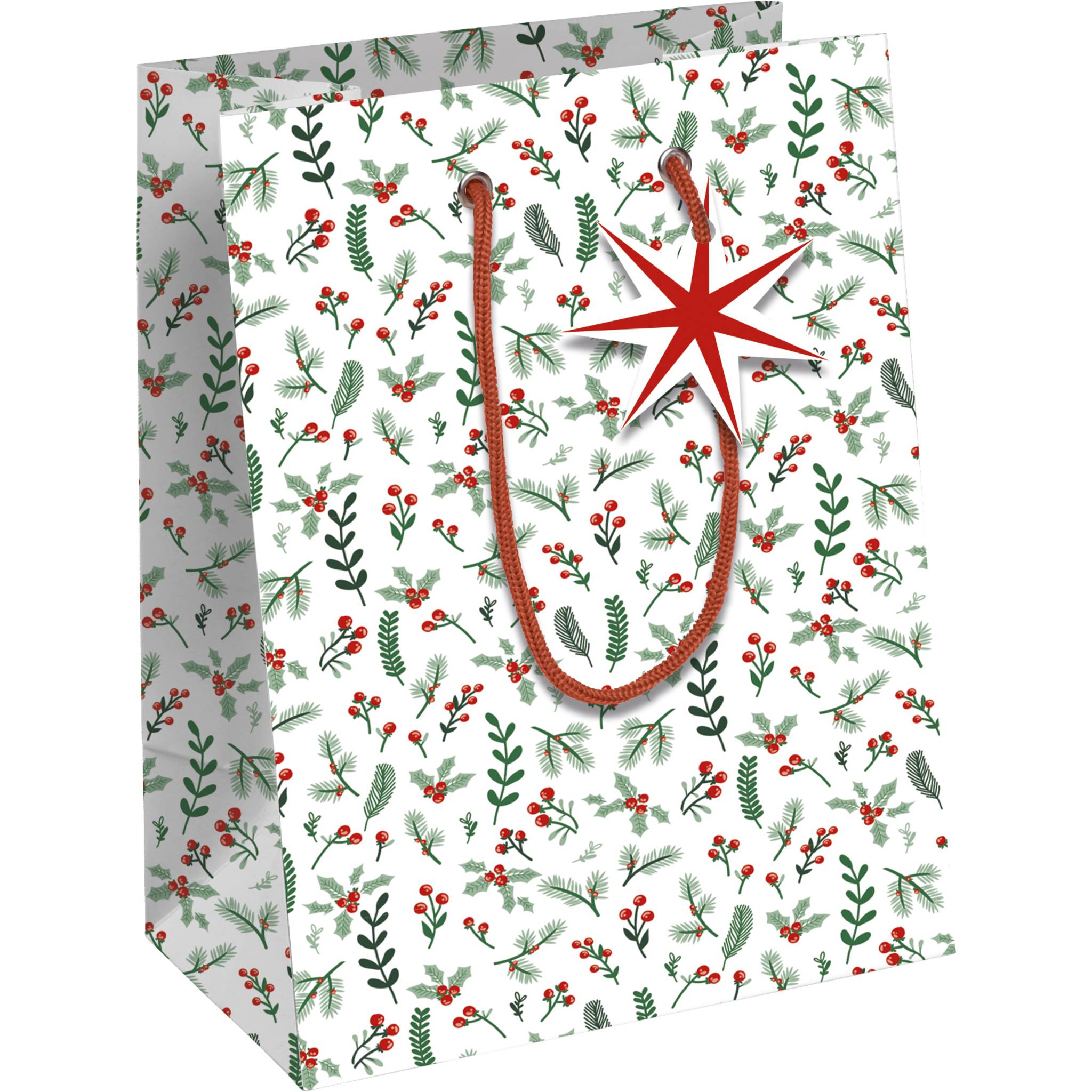 Clairefontaine 6x Cosy, Geschenktasche 21,5x10,2x25,3cm - Weiß X-32820-3C