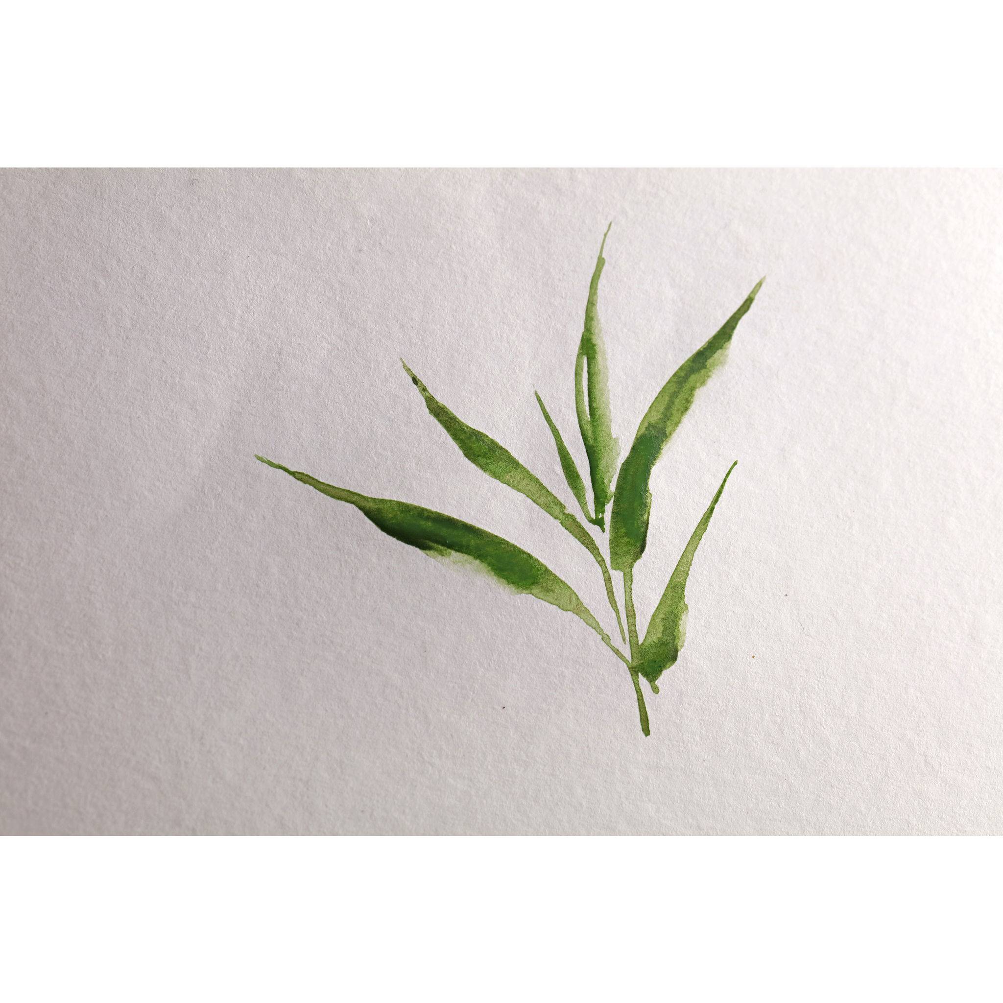 Clairefontaine 2x Bamboo, Spiralblock 15 Bl Bambuspapier, 15x15 cm, 250g 975924C