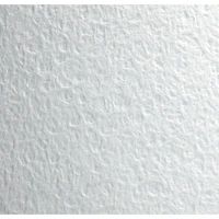 Clairefontaine Flamboyant, Aquarellpapier Pack. 10 Bogen 56x76 cm - 975060C Clairefontaine Flamboyant, Aquarellpapier Pack. 10 Bogen 56x76 cm - 975060C