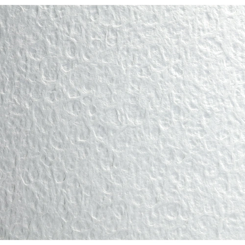 Clairefontaine Flamboyant, Aquarellpapier Pack. 10 Bogen 56x76 cm - 975060C Clairefontaine Flamboyant, Aquarellpapier Pack. 10 Bogen 56x76 cm - 975060C