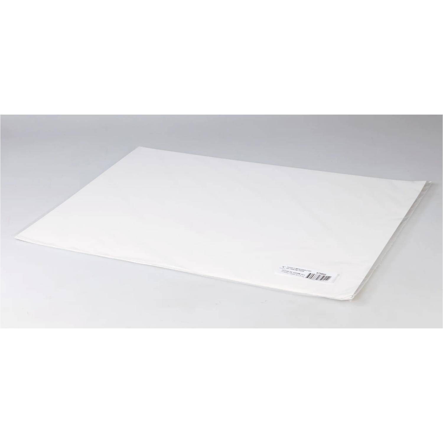 Clairefontaine Fleur de Coton, Kunstdruckpapier, 10 Bogen 56x76cm, 250g 975055C