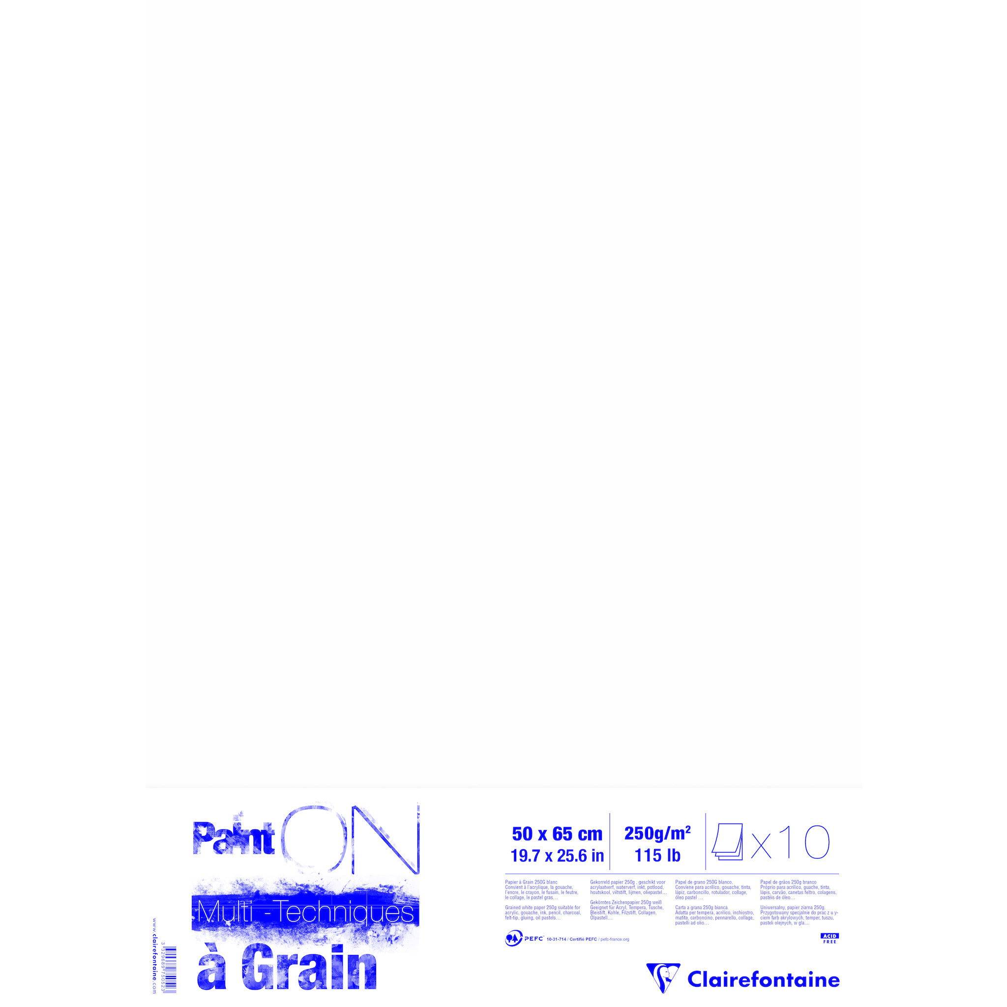 Clairefontaine PaintON à grain/gekörnt, 10 Bogen 50x65 cm, 250g, weiß, 975052C