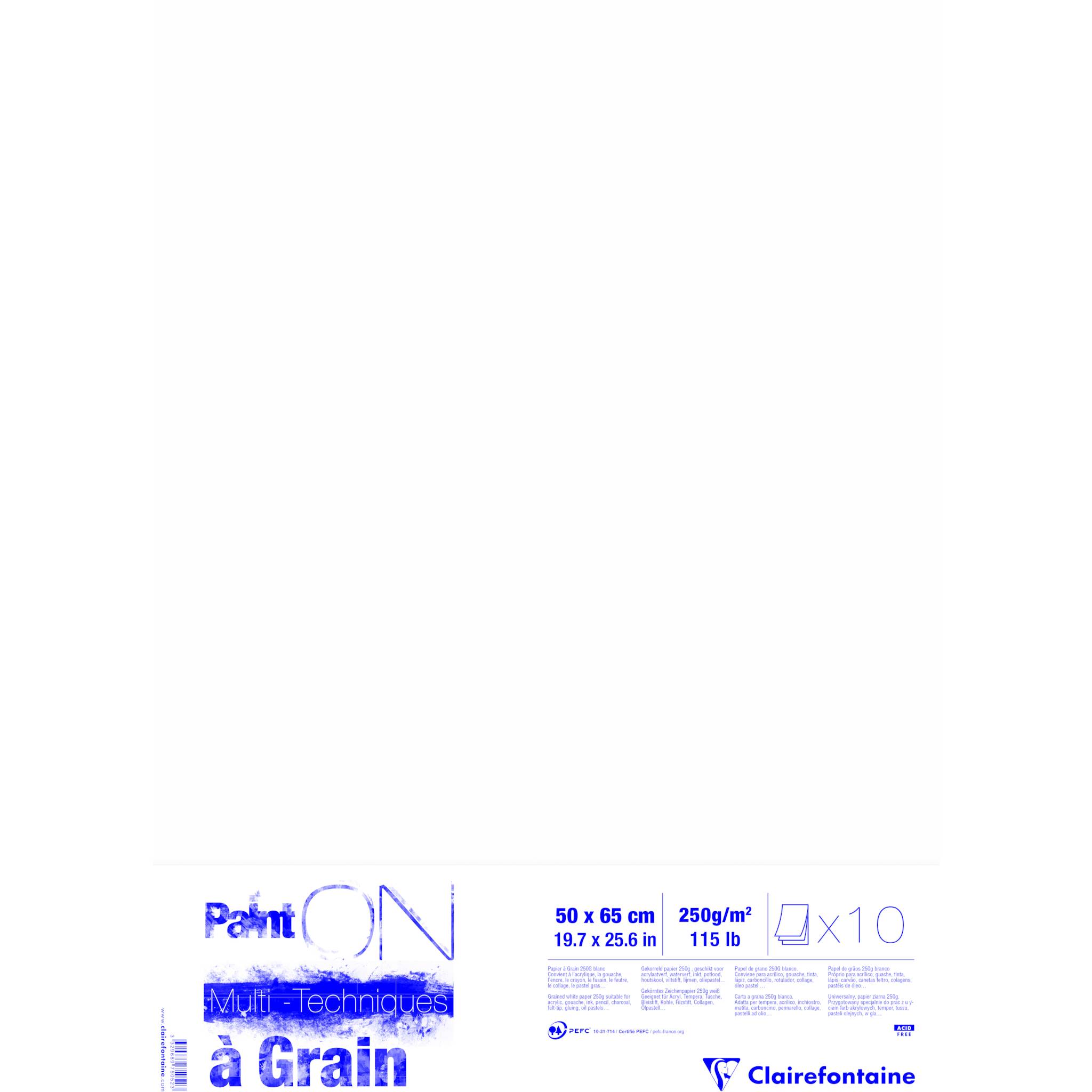 Clairefontaine PaintON à grain/gekörnt, 10 Bogen 50x65 cm, 250g, weiß, 975052C