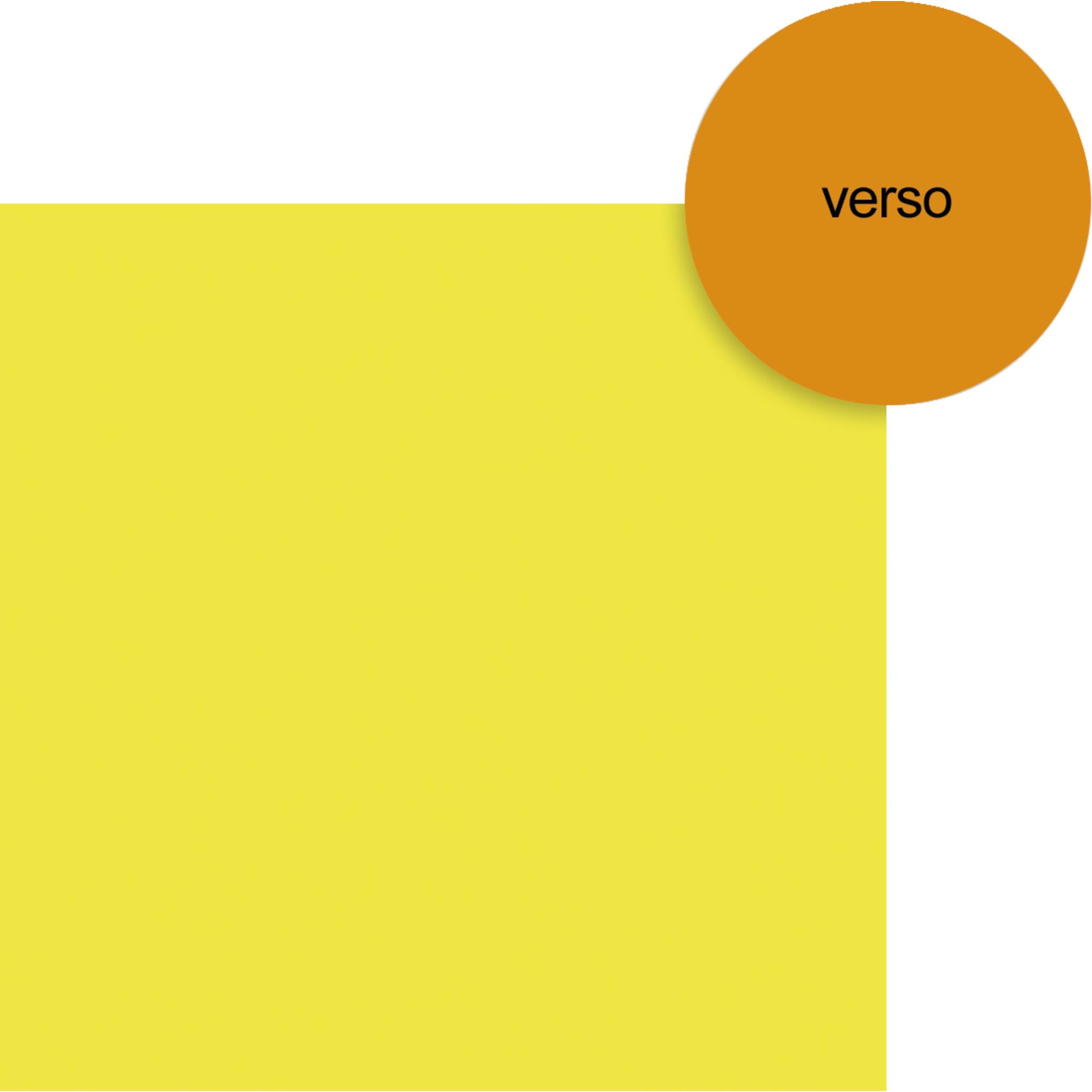 Clairefontaine Pack. 10 Bögen neonfarbenem Karton zweifarbig 40x60cm 93810C