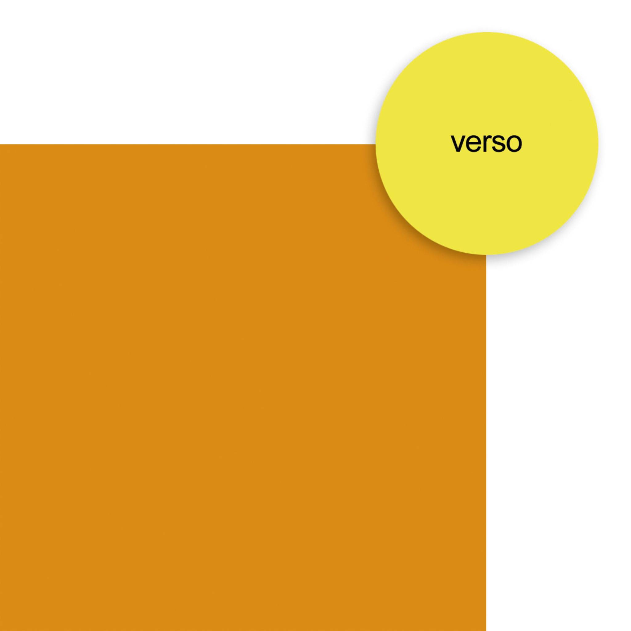 Clairefontaine Pack. 10 Bögen neonfarbenem Karton zweifarbig 40x60cm 93810C