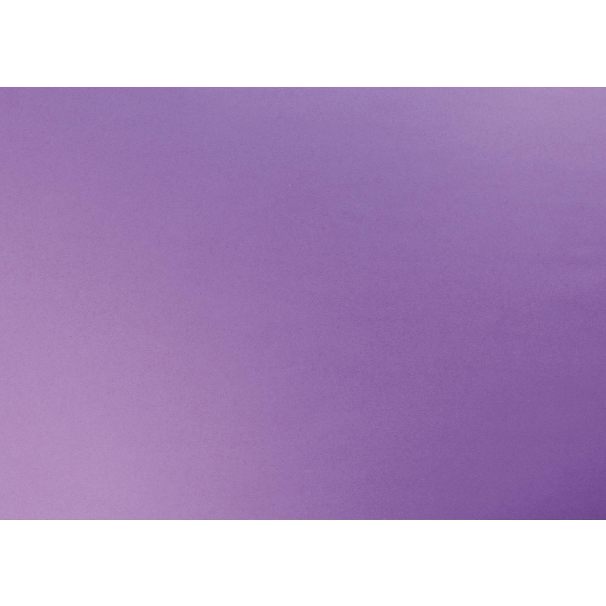Clairefontaine Fotokarton, Packung mit 25 Bogen 50x65cm, 300g - Malve 455610C