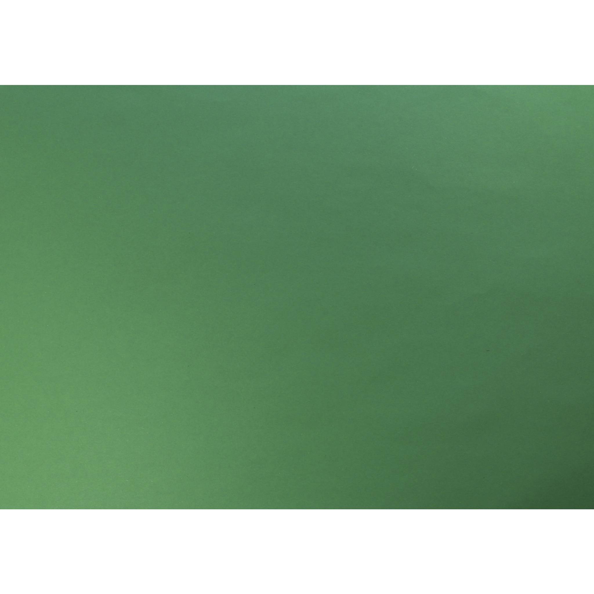 Clairefontaine Fotokarton, Packung 25 Bogen 50x65cm, 300g Imperialgrün 455650C