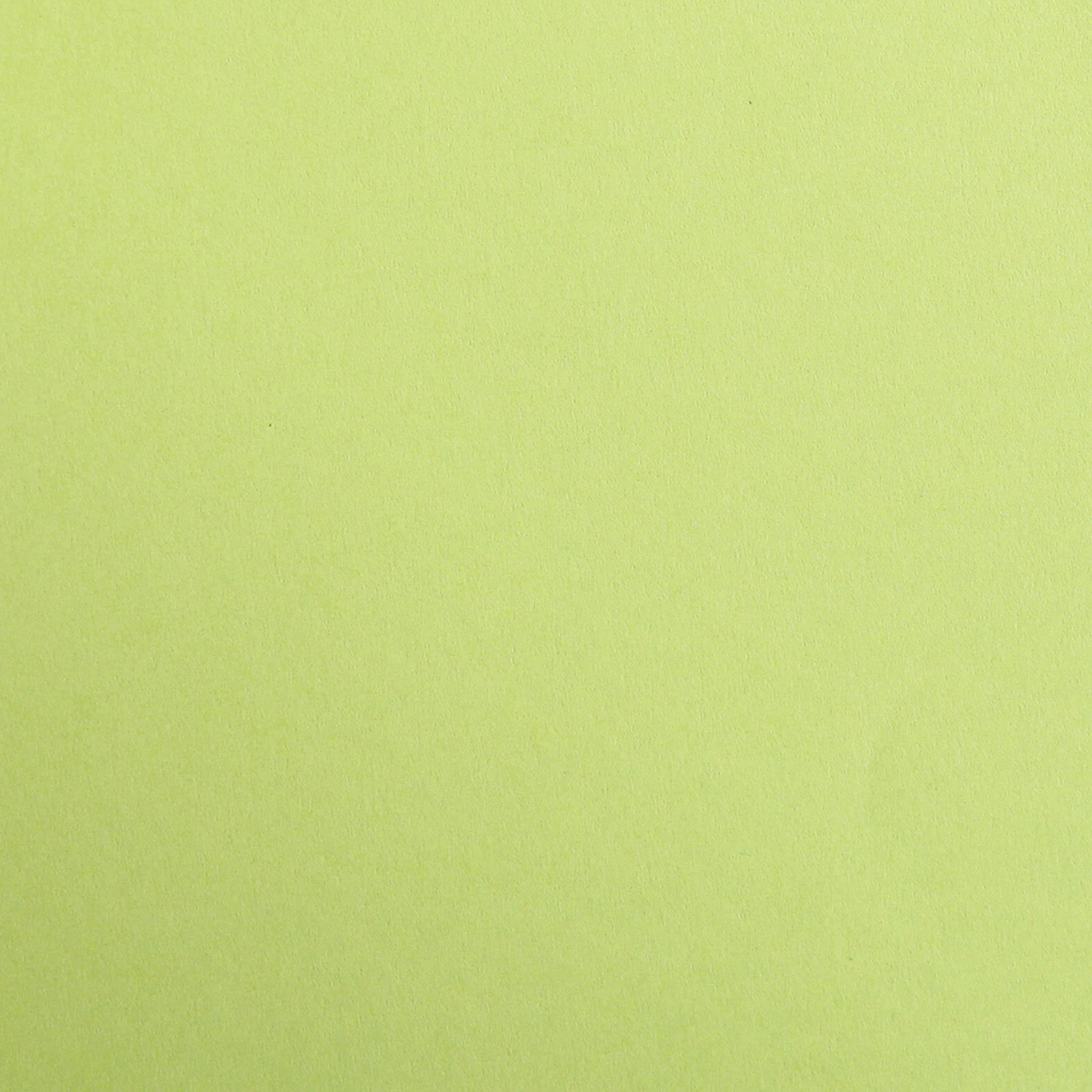 Clairefontaine Maya Fotokarton, Packung 25 Bogen 70x100 cm, 270g Moosgrün 47952C