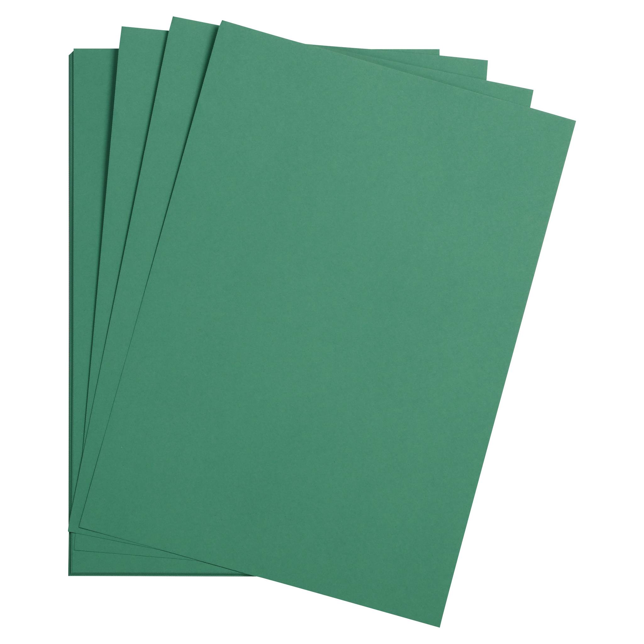 Clairefontaine Maya Fotokarton 50x70cm 270g 125 Bogen - Tannengrün 397251C