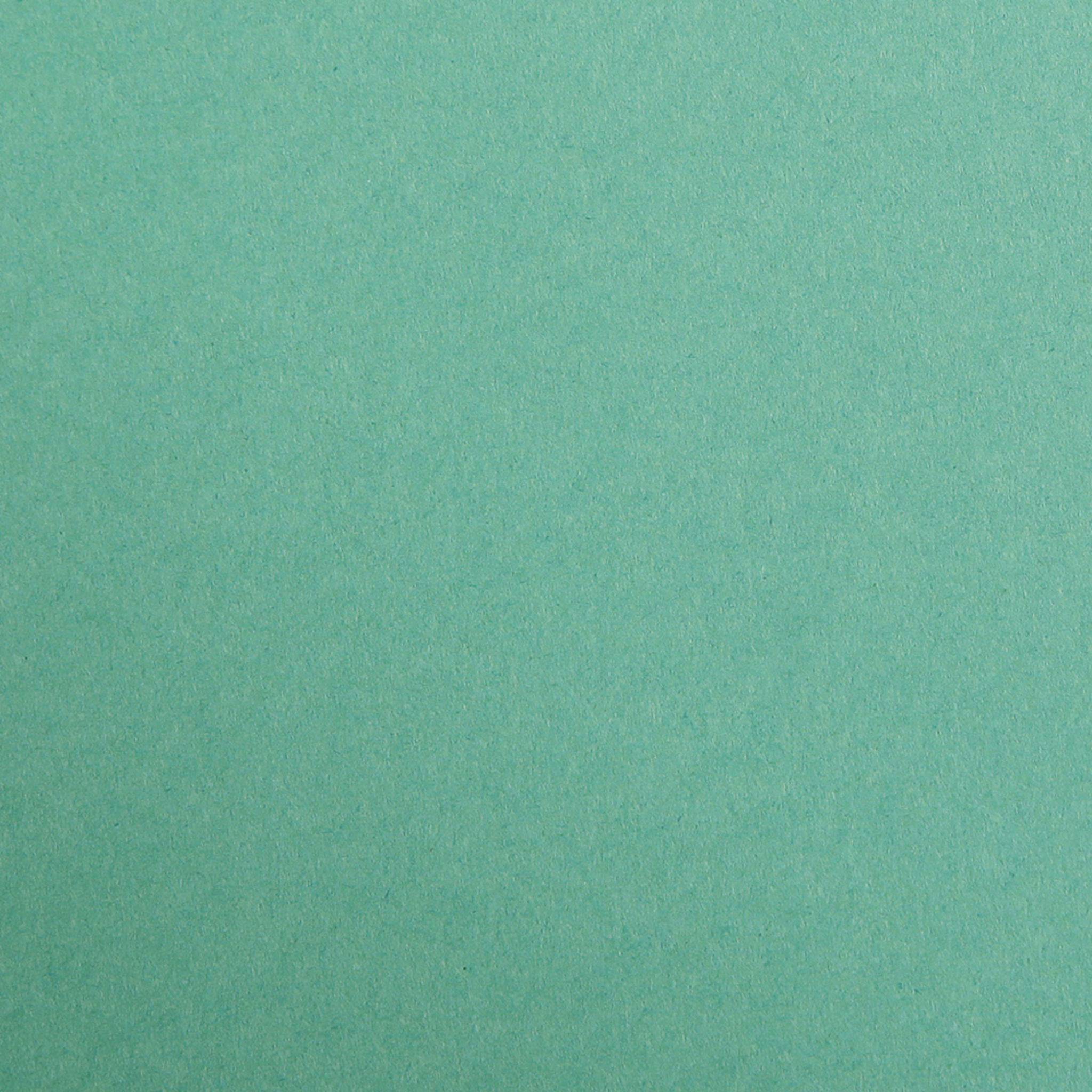 Clairefontaine Maya Bastelkarton 50x70cm 185g 25 Bogen - Tannengrün 975451C