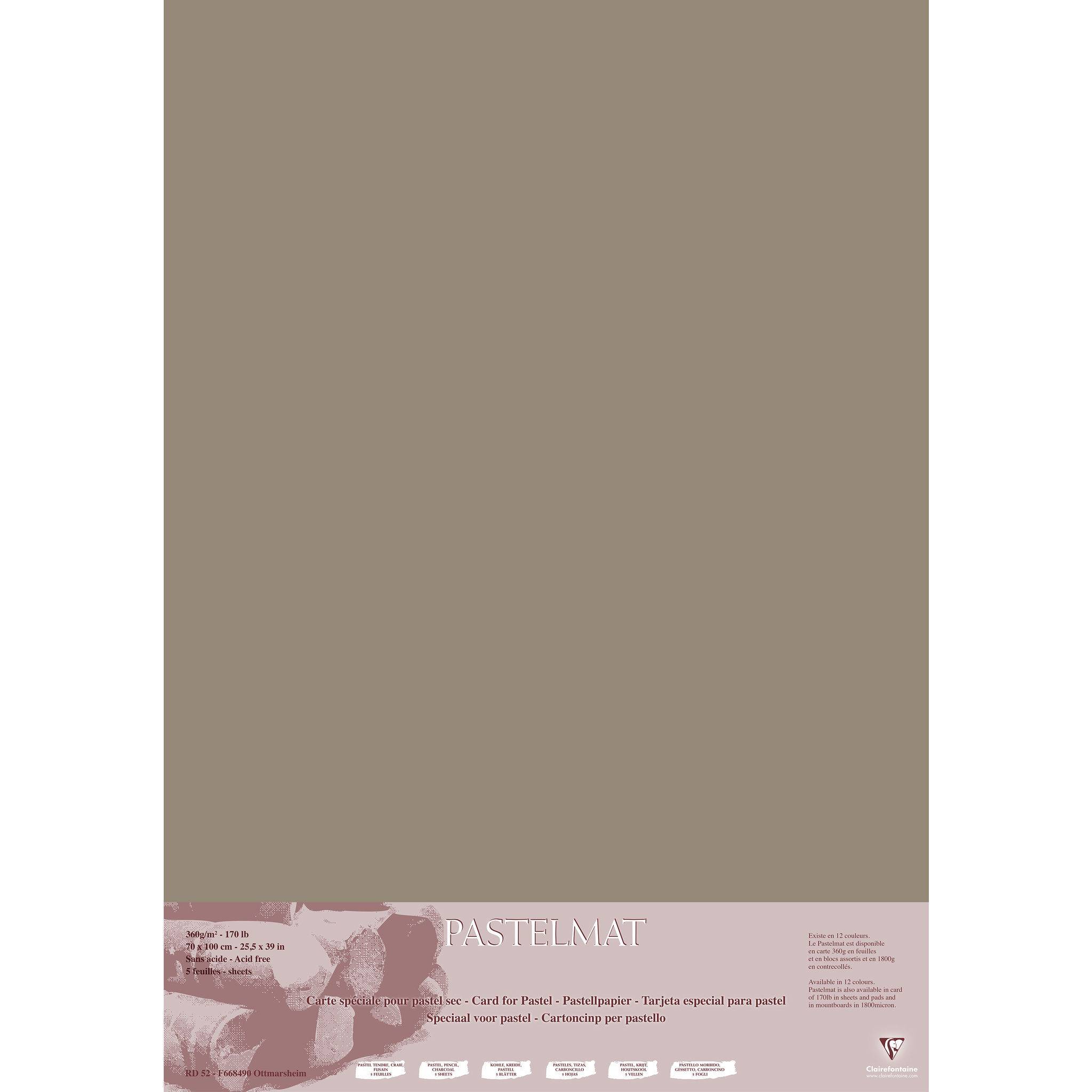 Clairefontaine Pastelmat Pastellmalerei, 5 Bogen 70x100 cm, 360g Braun 296011C