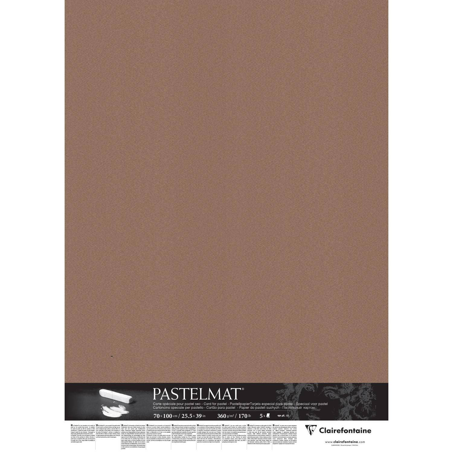 Clairefontaine Pastelmat Pastellmalerei, 5 Bogen 70x100 cm, 360g Braun 296011C